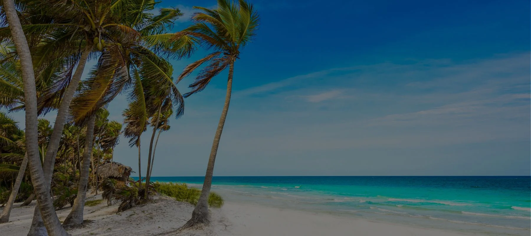 5 Nights in Cancún - Image 2