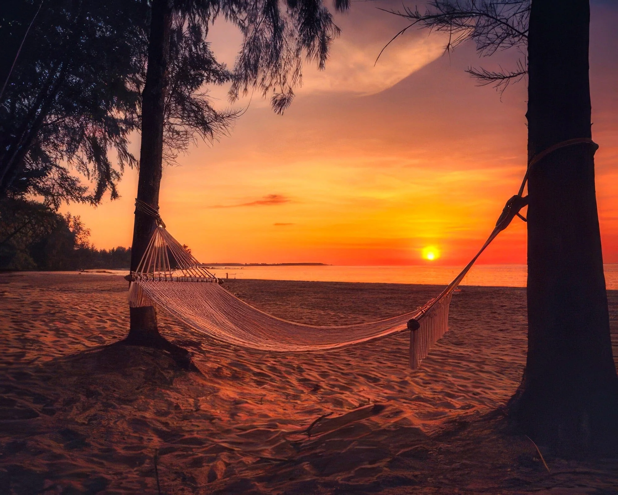 Avani+ Khao Lak Resort - Image 12