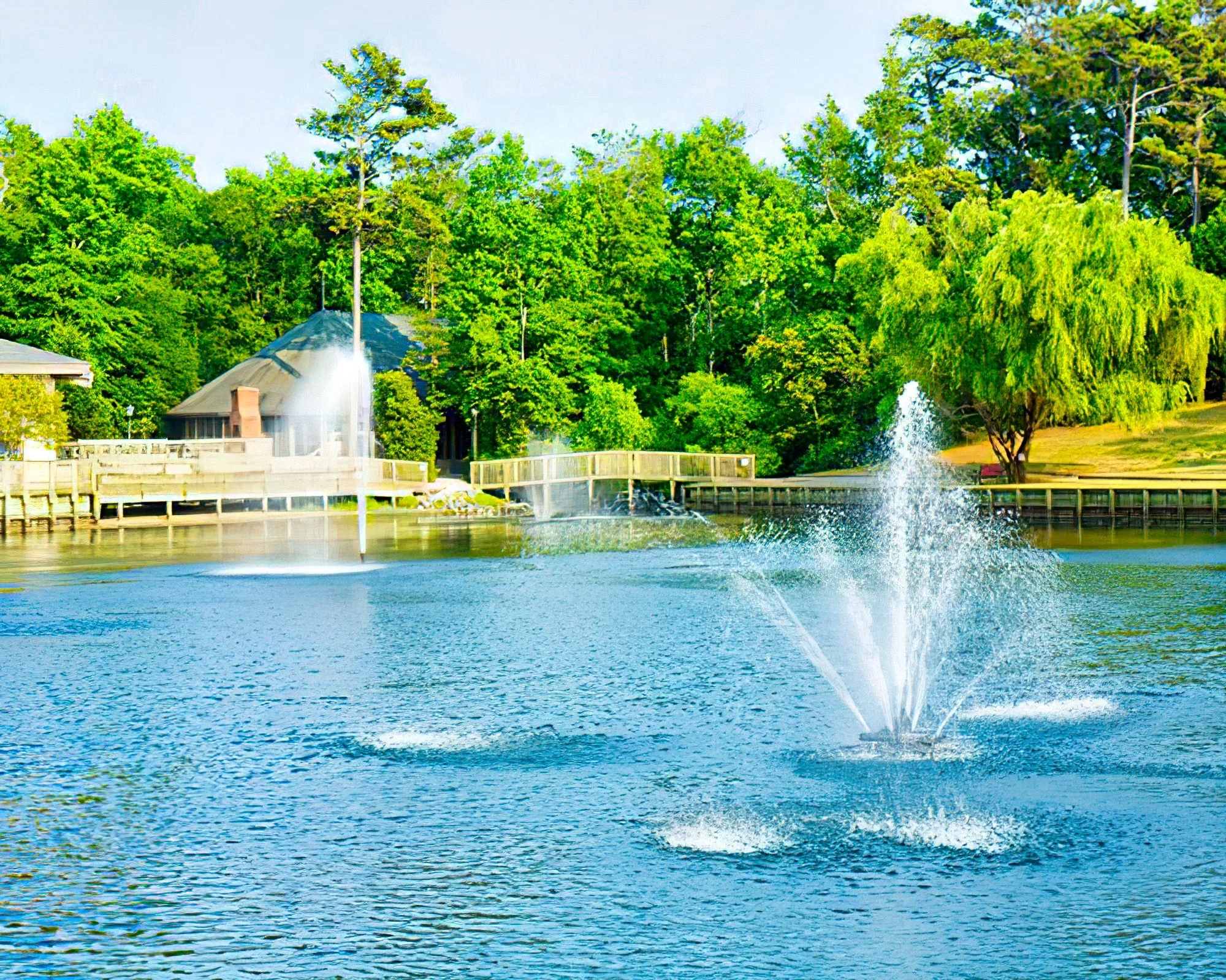 Beachwoods Resort by Diamond Resorts - Image 33