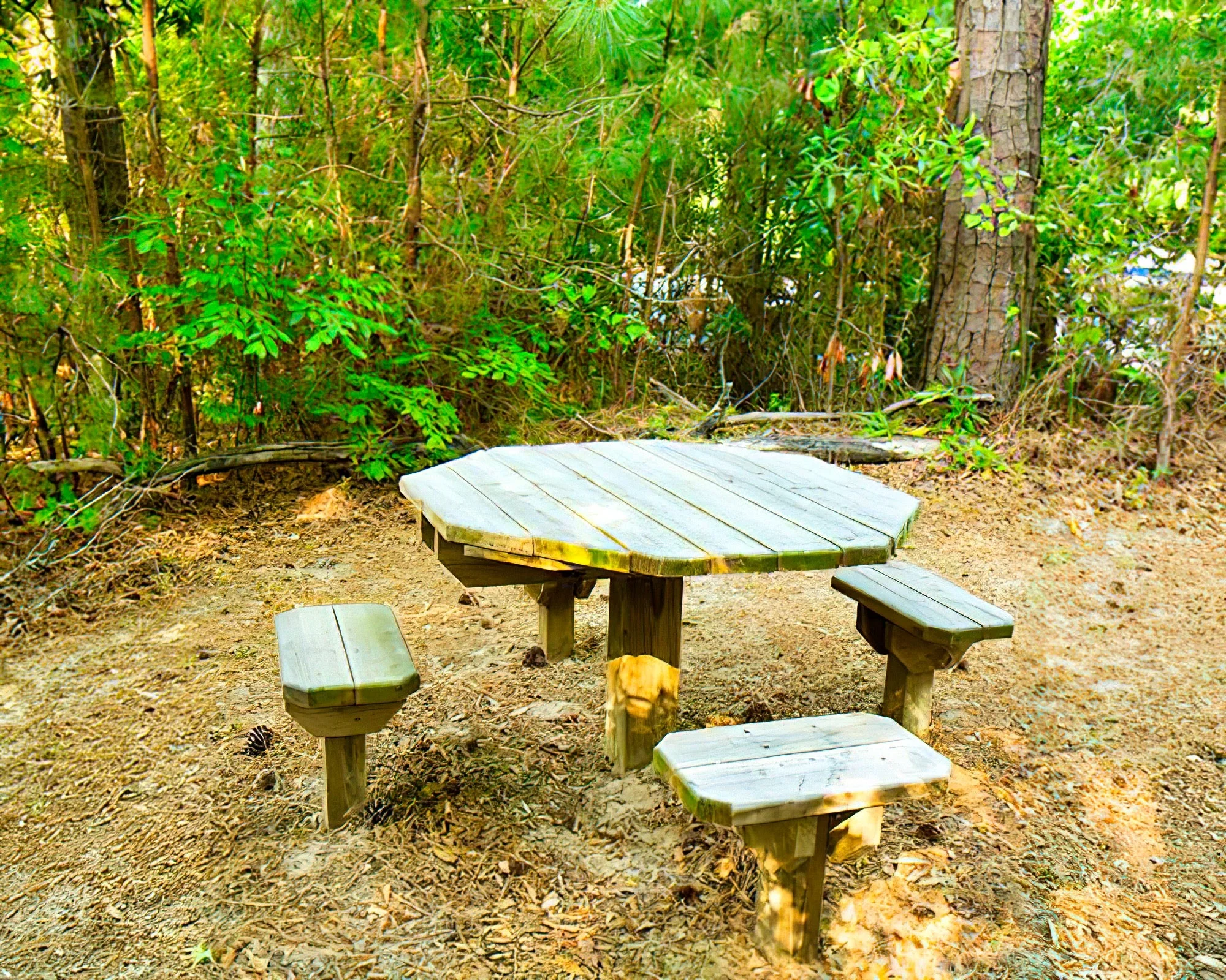 Beachwoods Resort by Diamond Resorts - Image 37