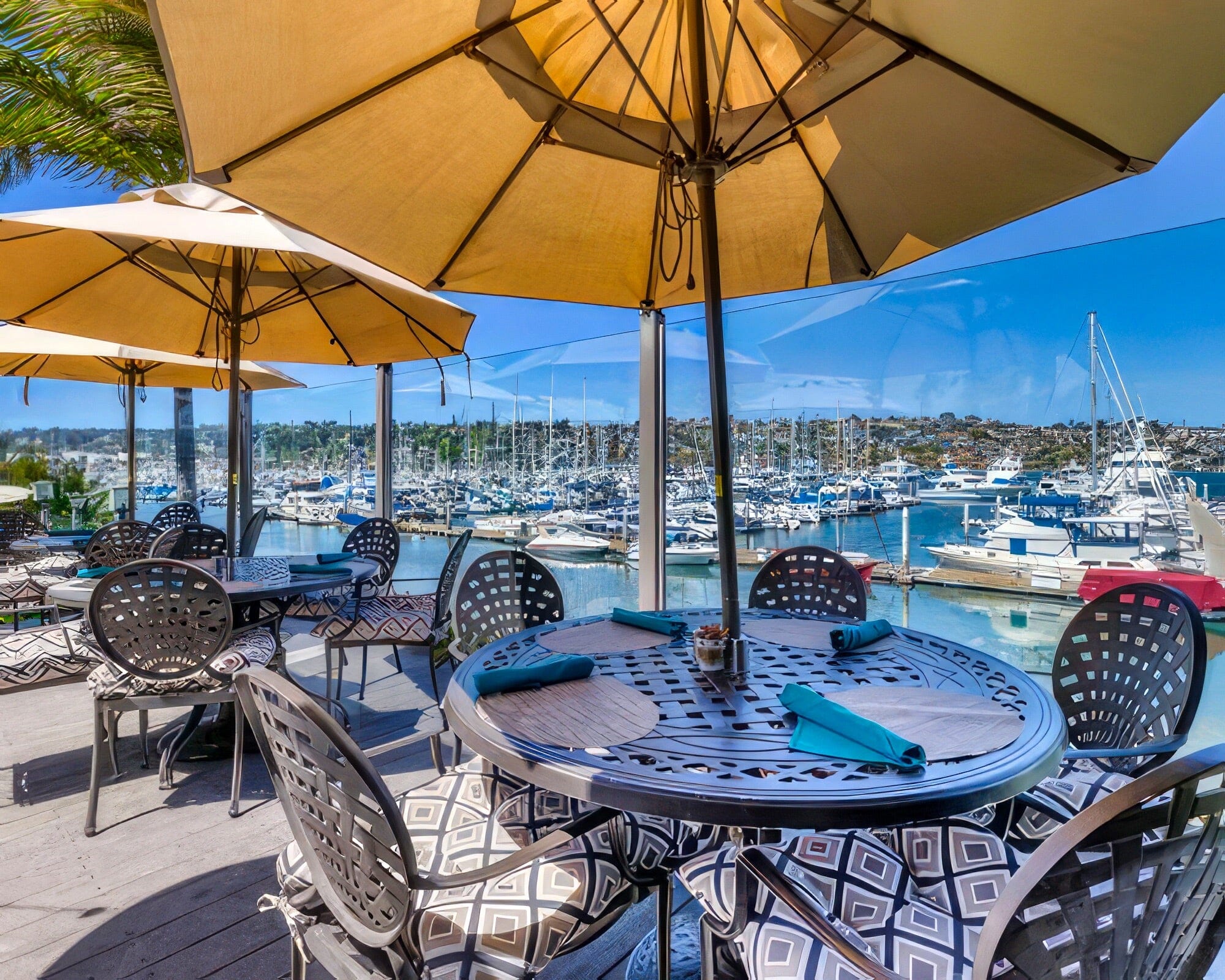 Best Western Plus Island Palms Hotel & Marina - Image 15