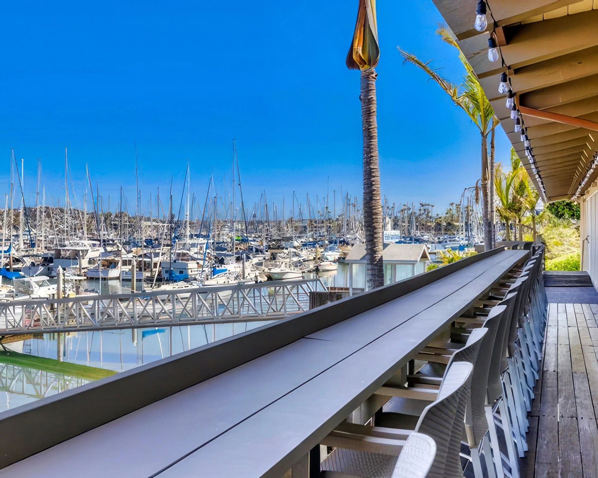 Best Western Plus Island Palms Hotel & Marina - Image 18