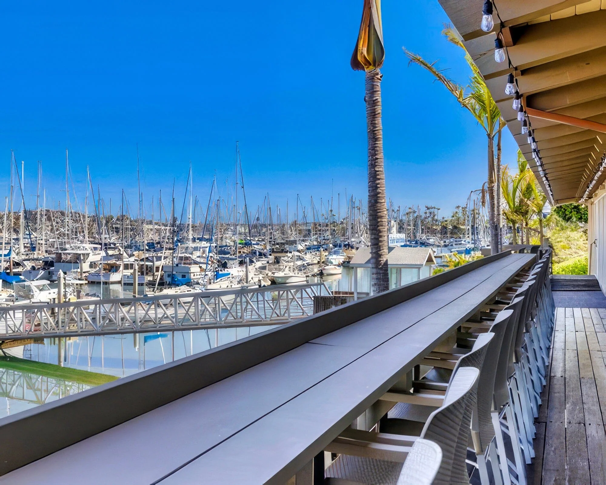 Best Western Plus Island Palms Hotel & Marina - Image 18
