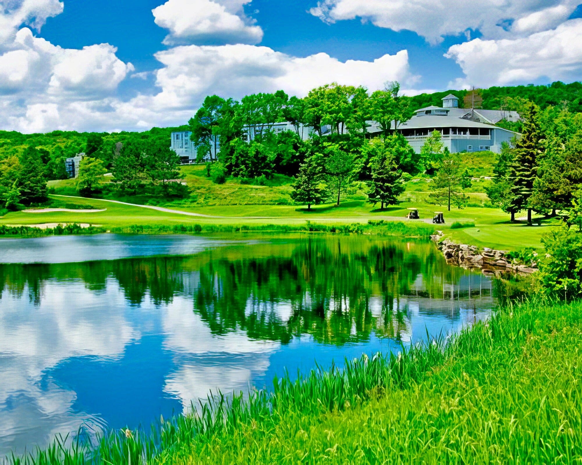 Birchcliff Villas At Deerhurst Resort - Image 6