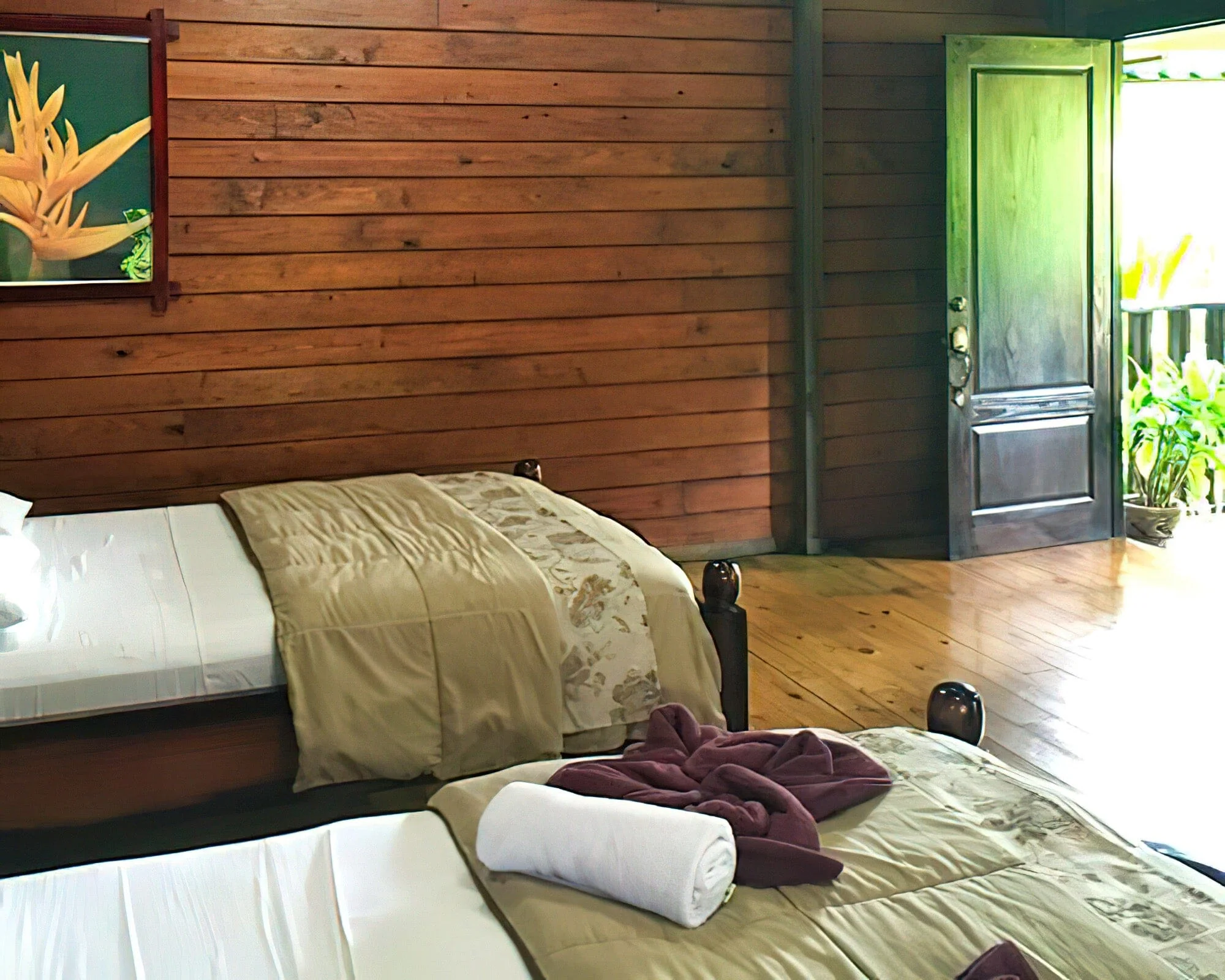 Blue River Resort & Hot Springs - Image 3