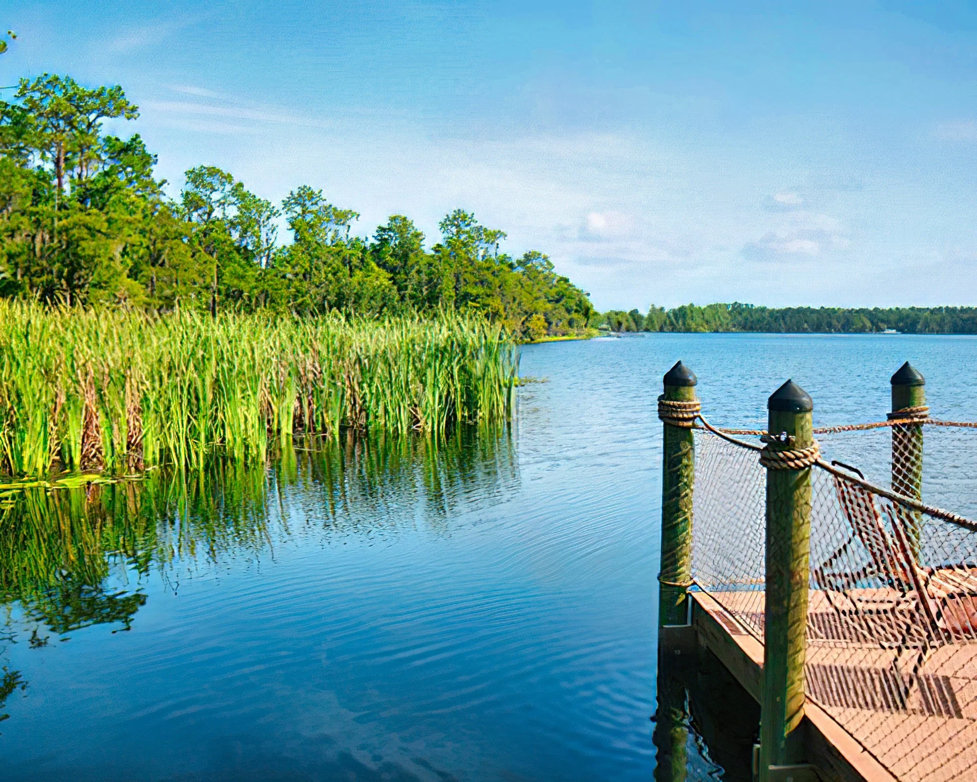 Bryan's Spanish Cove by Diamond Resorts - Image 3
