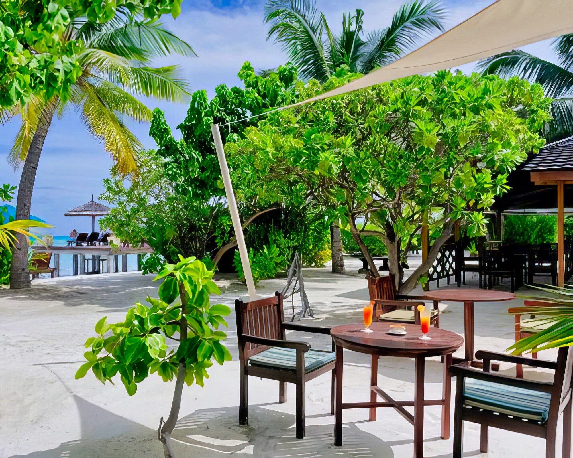 Canareef Resort Maldives - Image 19