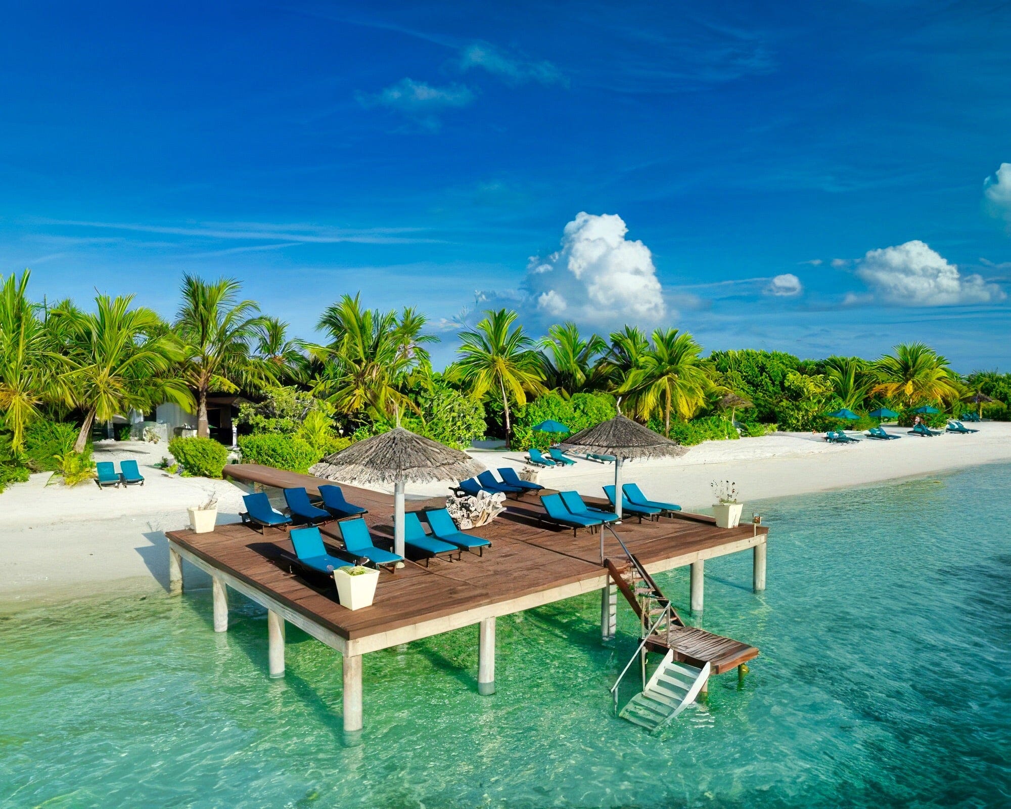 Canareef Resort Maldives - Image 21
