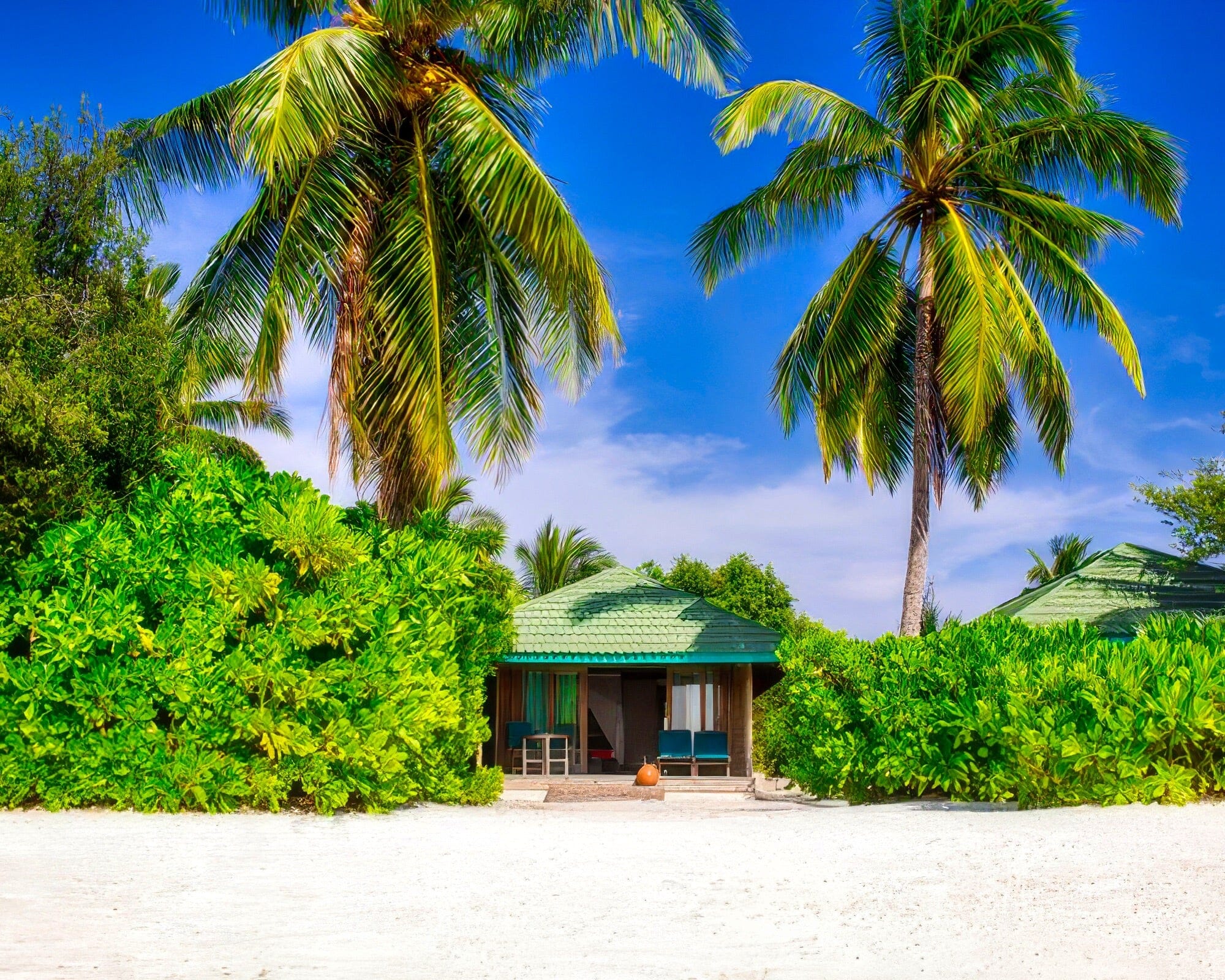Canareef Resort Maldives - Image 22