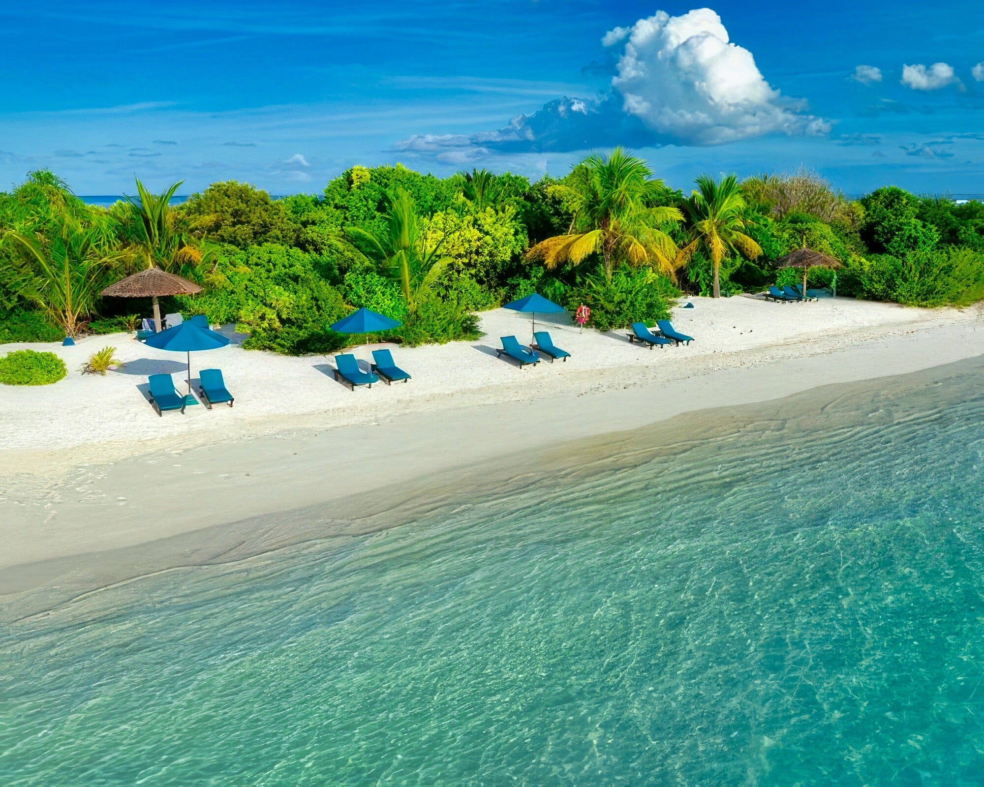 Canareef Resort Maldives - Image 27