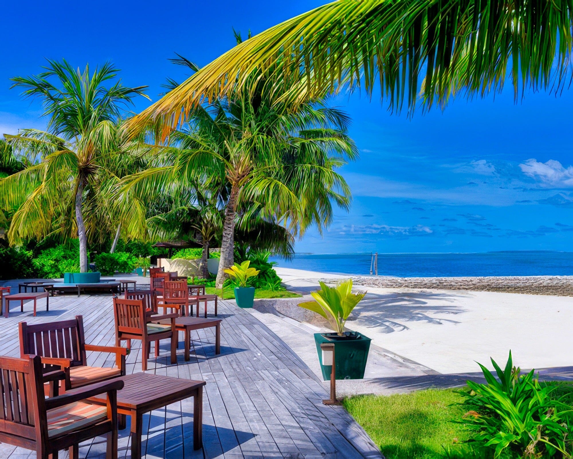 Canareef Resort Maldives - Image 28