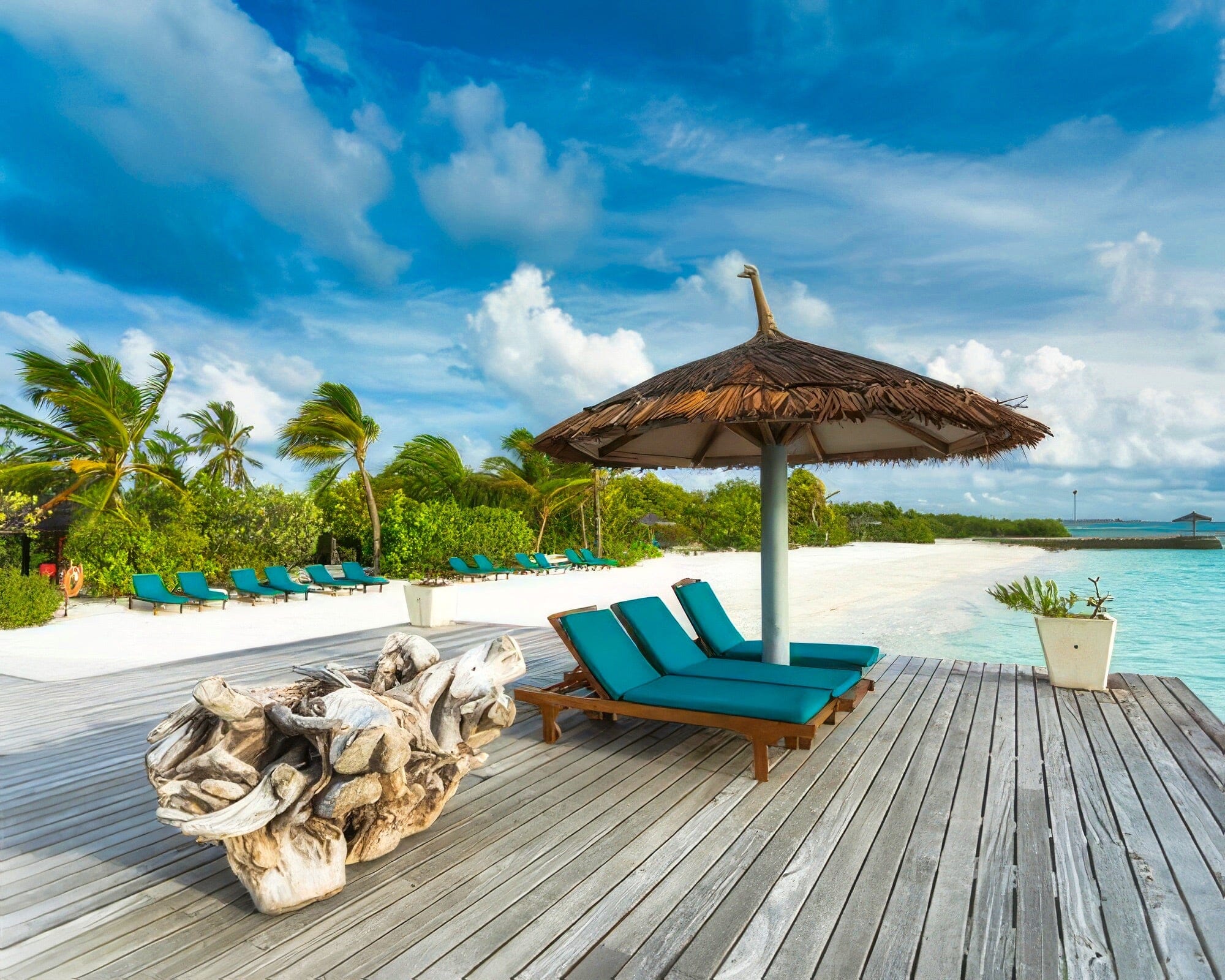Canareef Resort Maldives - Image 29