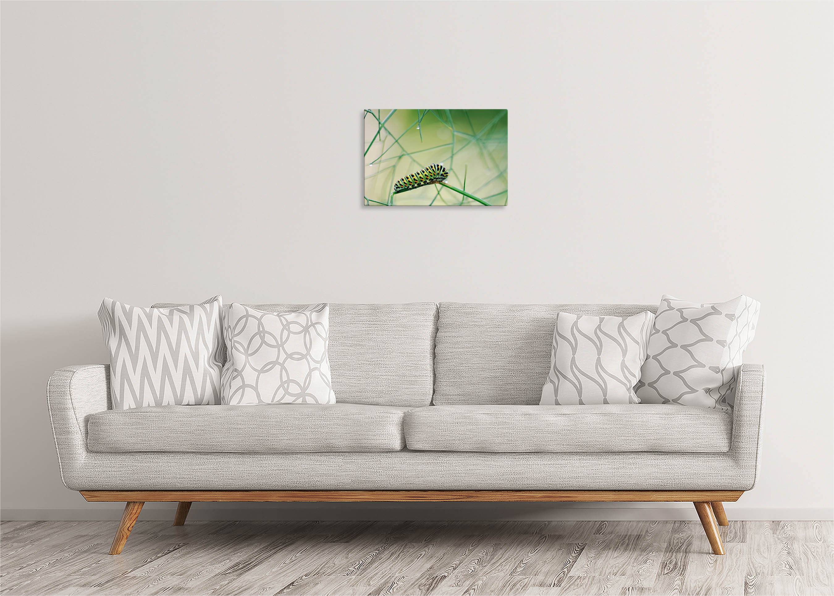 Caterpillar | Gallery Wrap Wall Canvas - Image 3