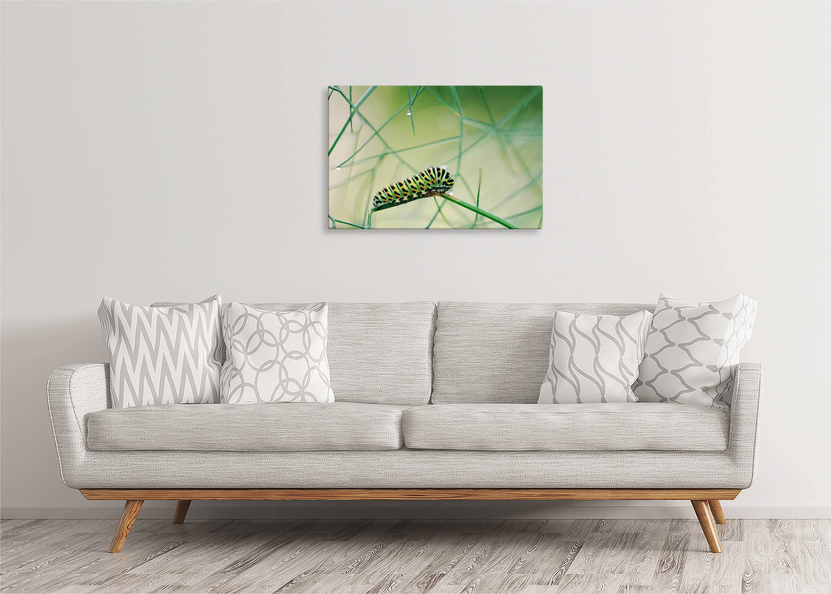 Caterpillar | Gallery Wrap Wall Canvas - Image 4