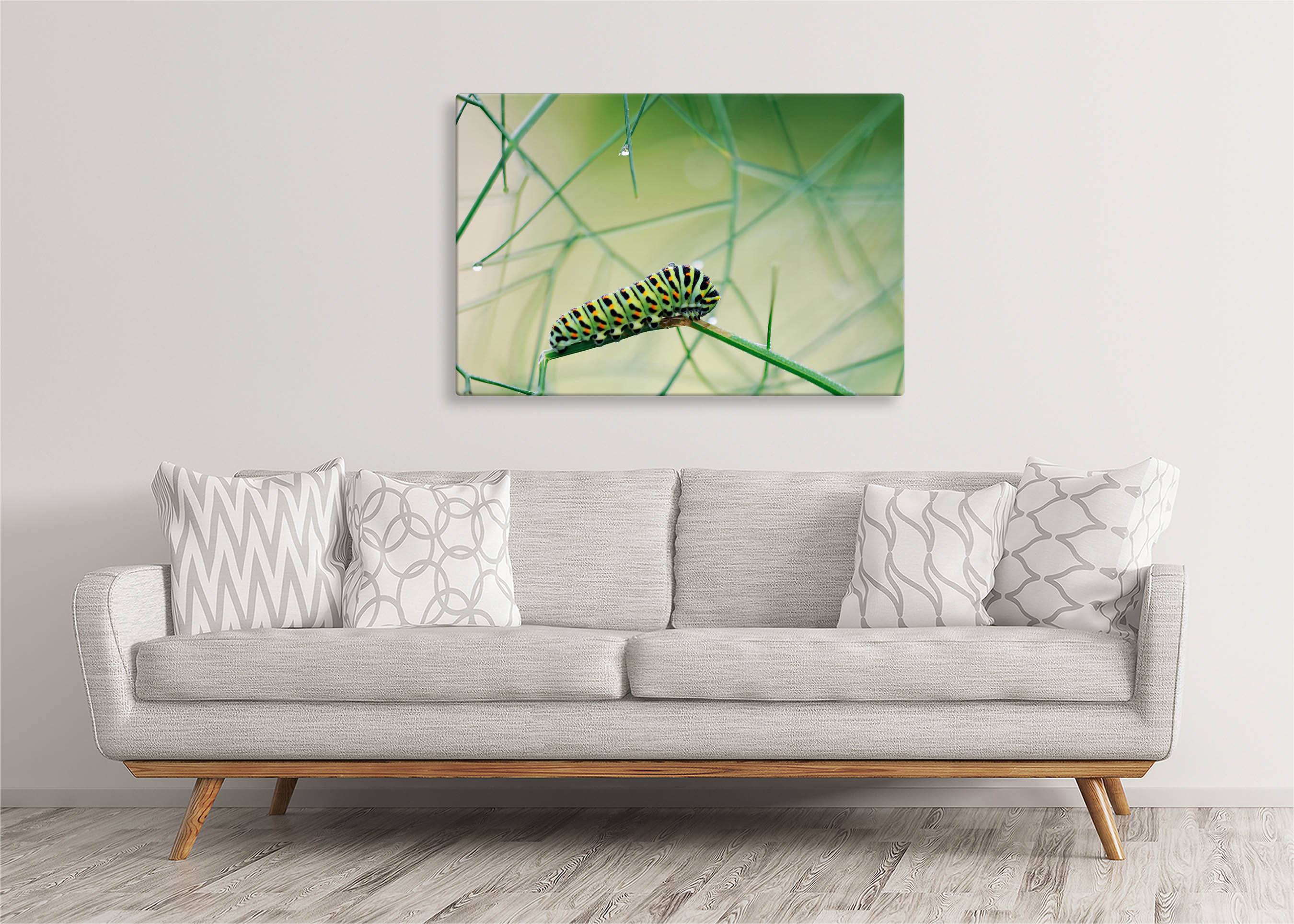 Caterpillar | Gallery Wrap Wall Canvas - Image 5
