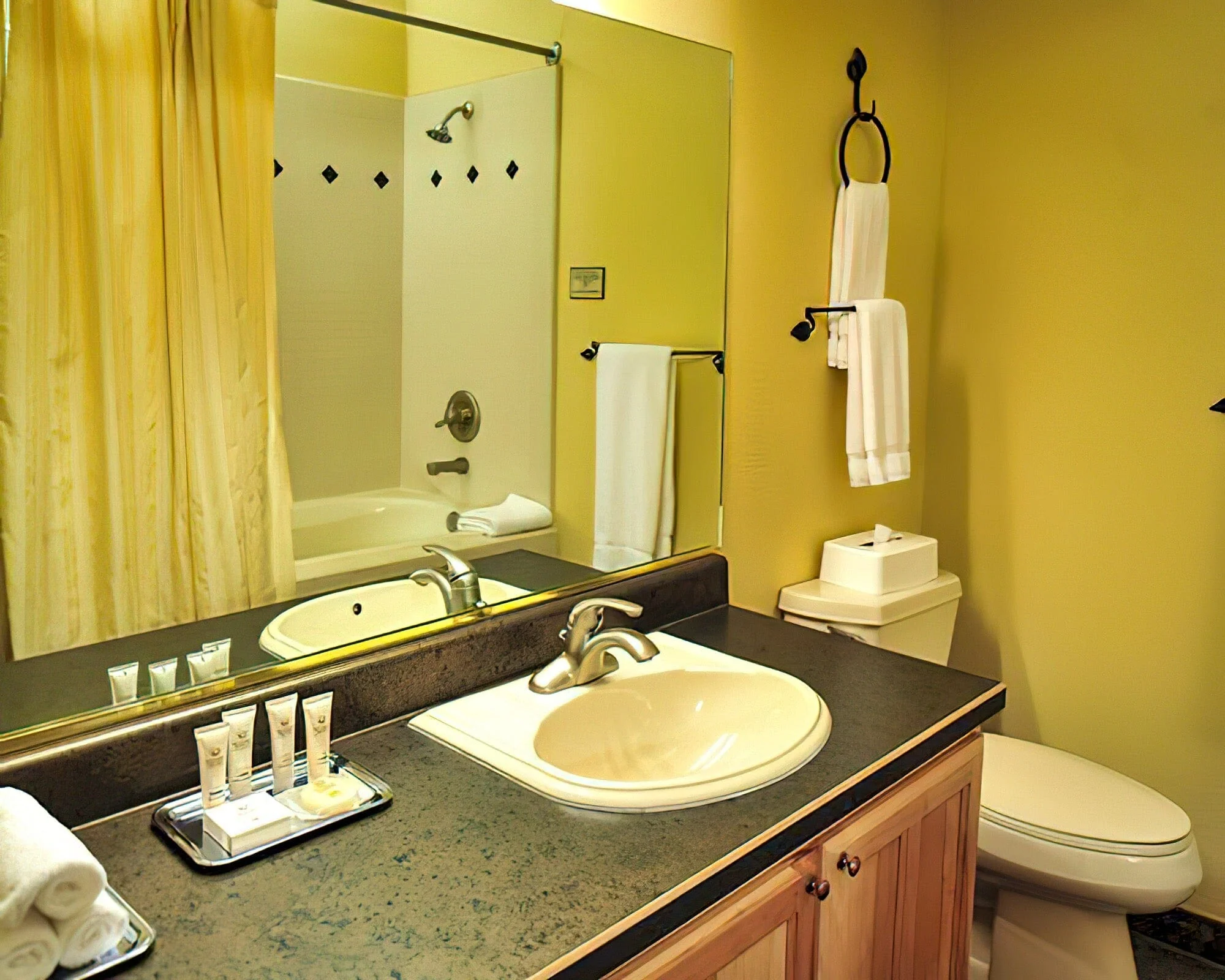 Cedar Breaks Lodge by Diamond Resorts - Image 13