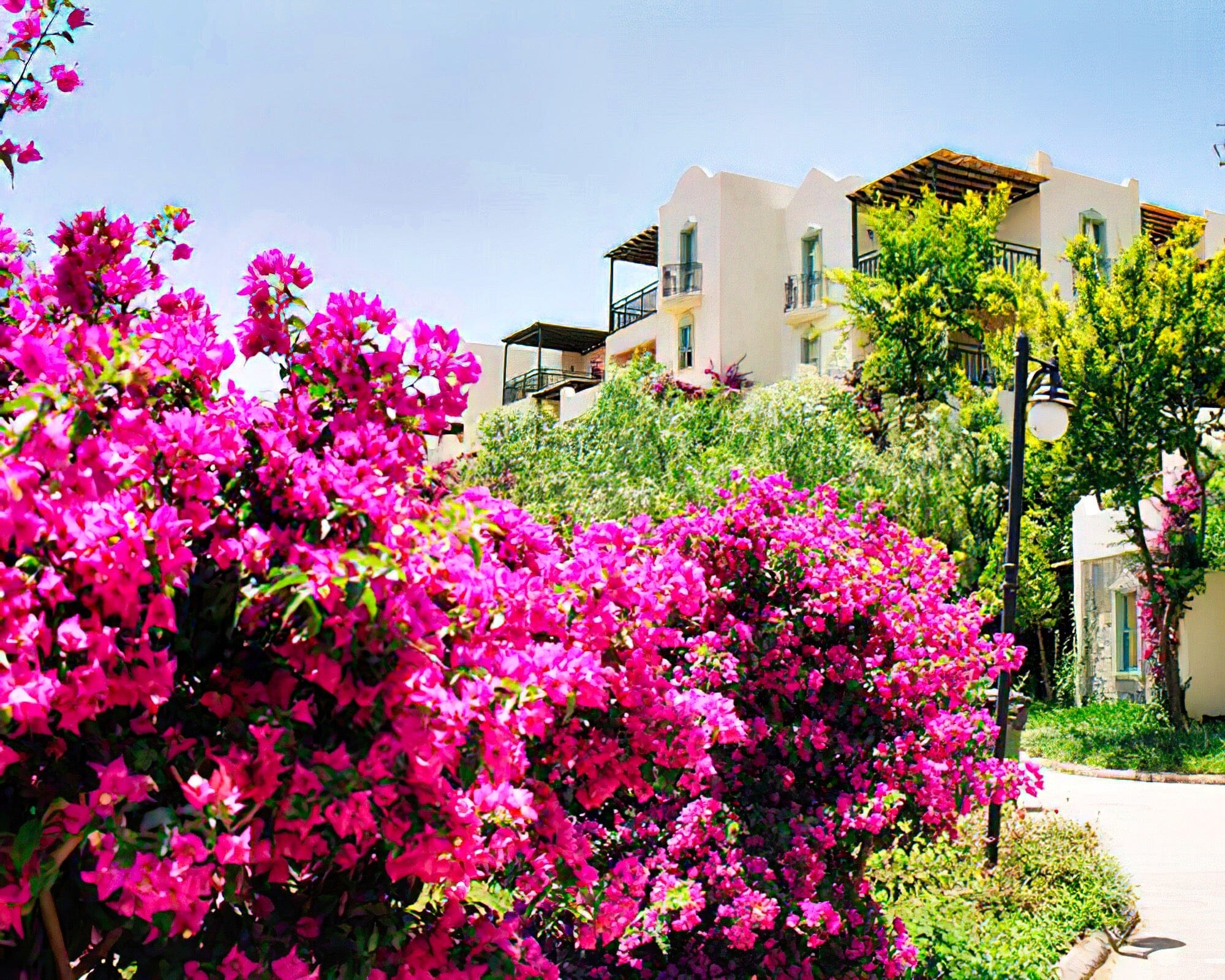 Club Dedeman Bodrum - Image 7