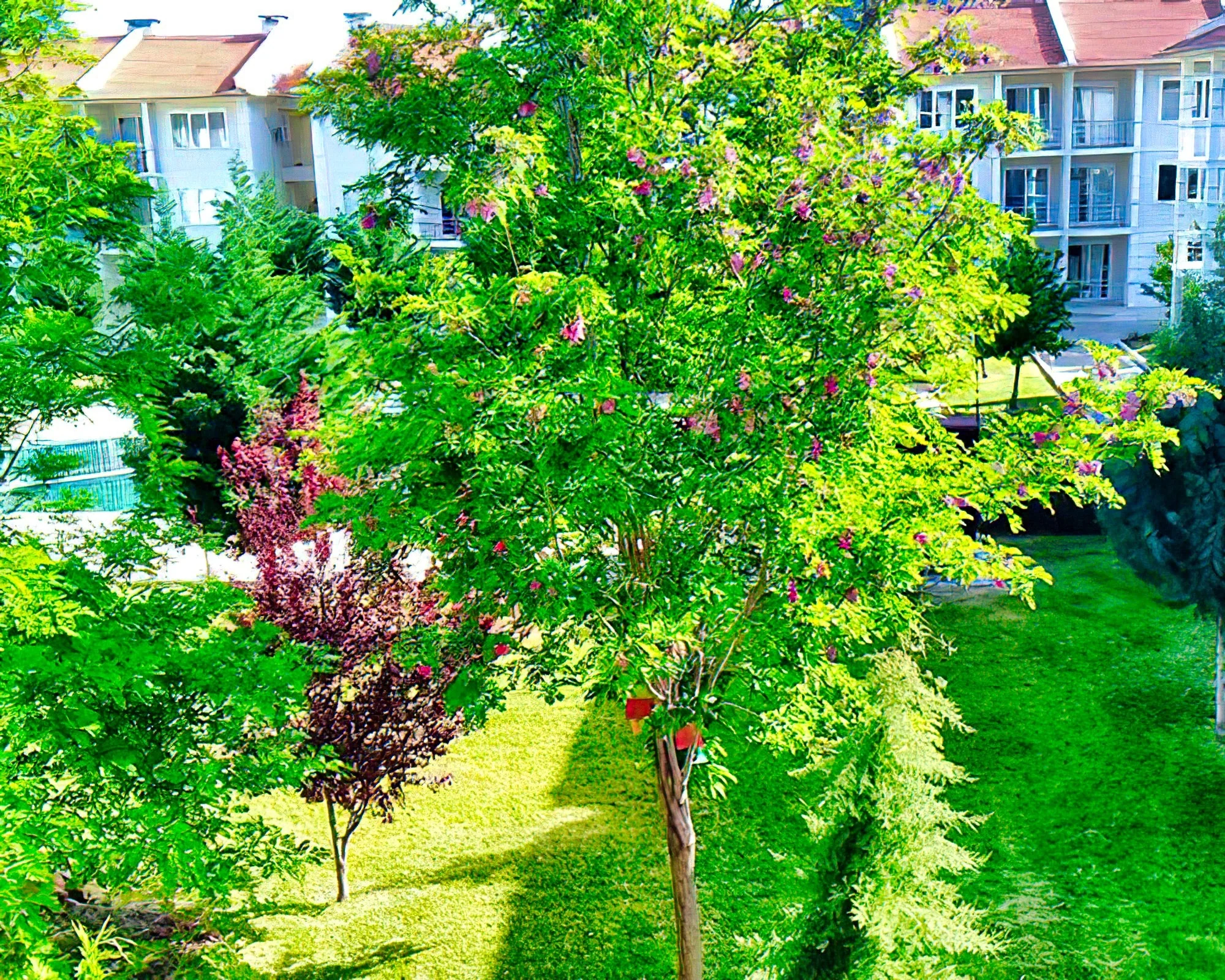 Onat Garden Hotel - Image 17