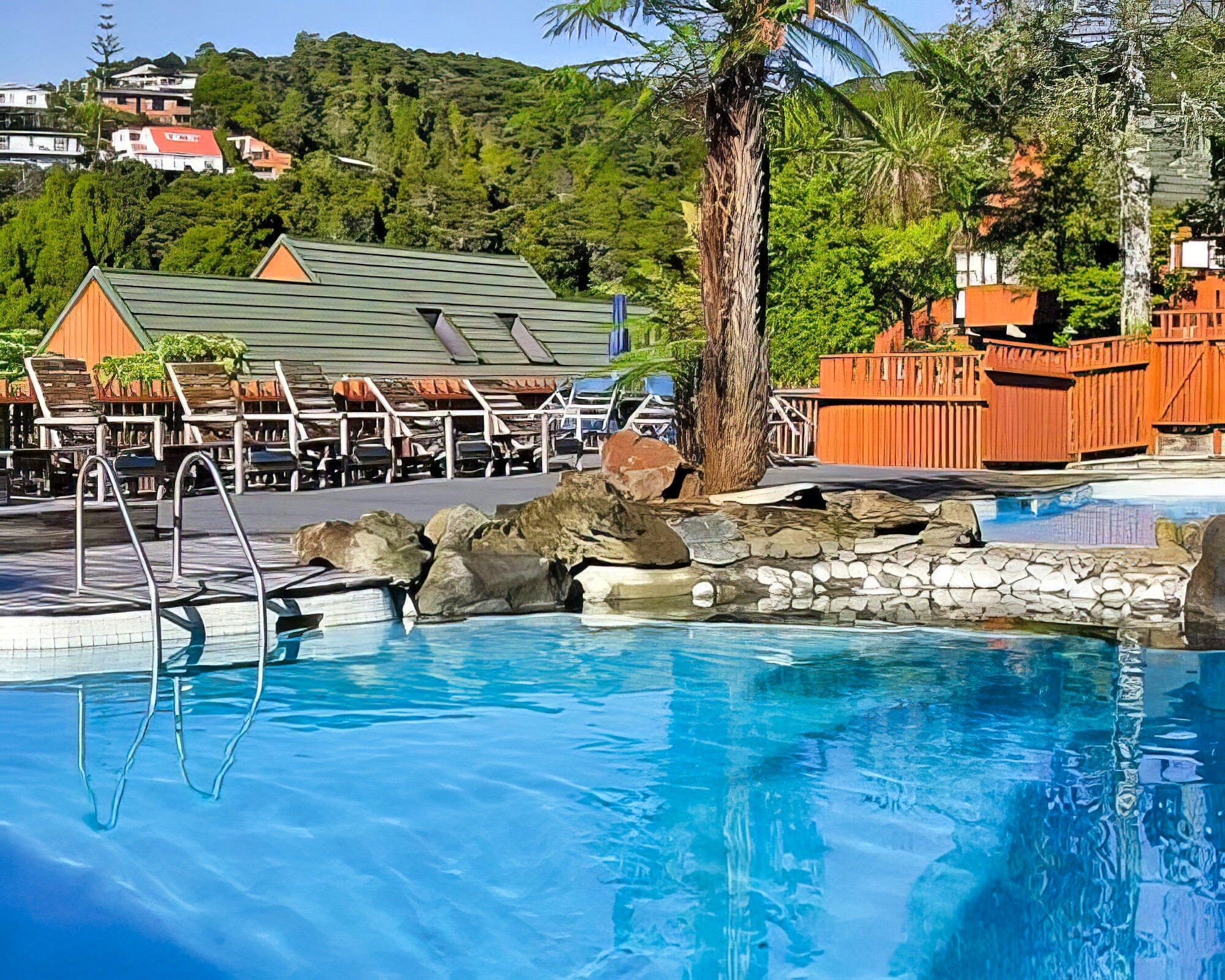 Club Paihia - Image 2