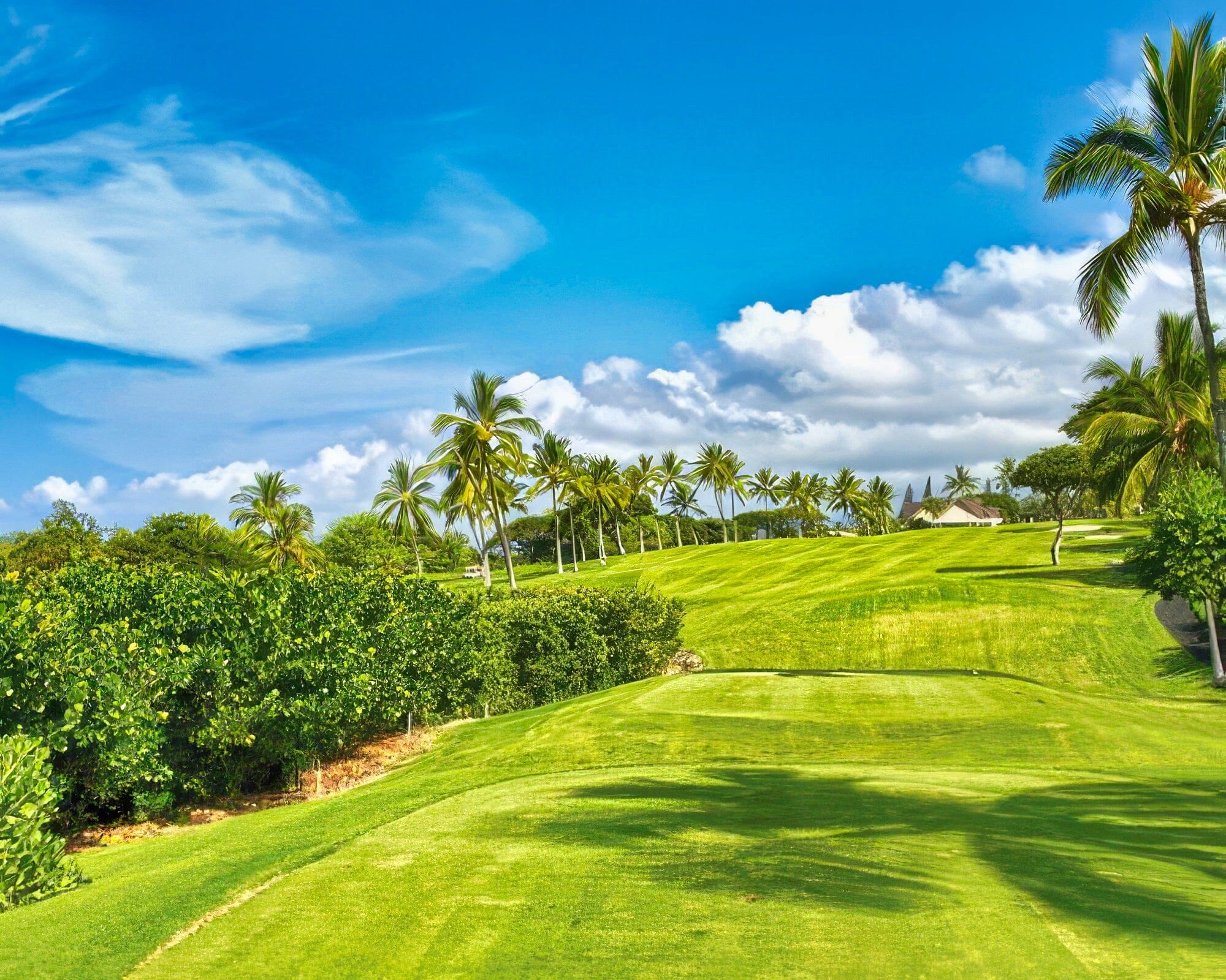 Club Wyndham Holua Resort at Mauna Loa Village - Image 12