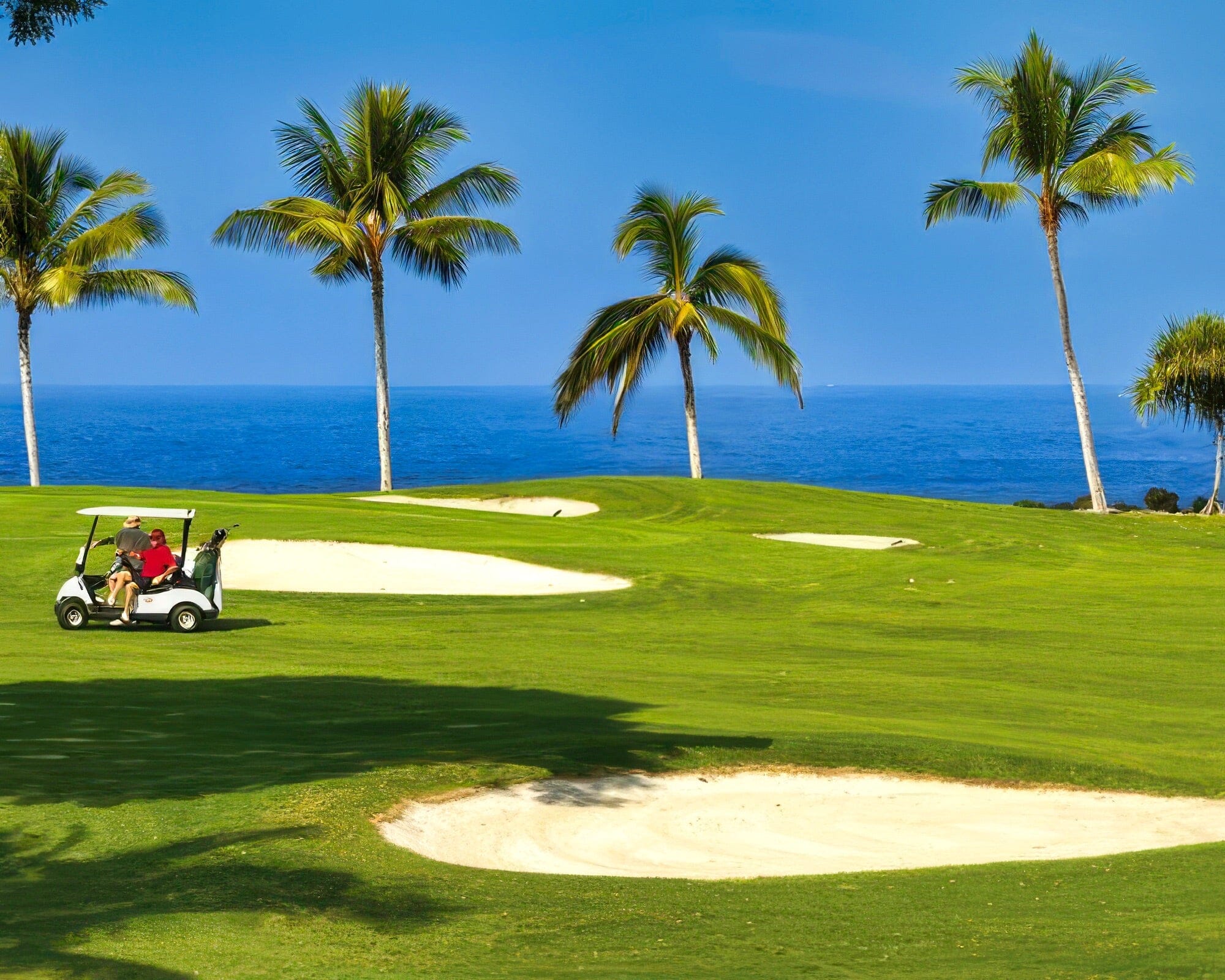 Club Wyndham Holua Resort at Mauna Loa Village - Image 16