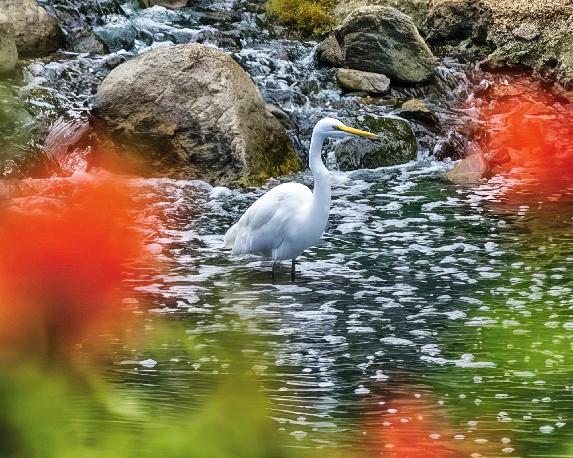 Club Wyndham Indio - Image 15