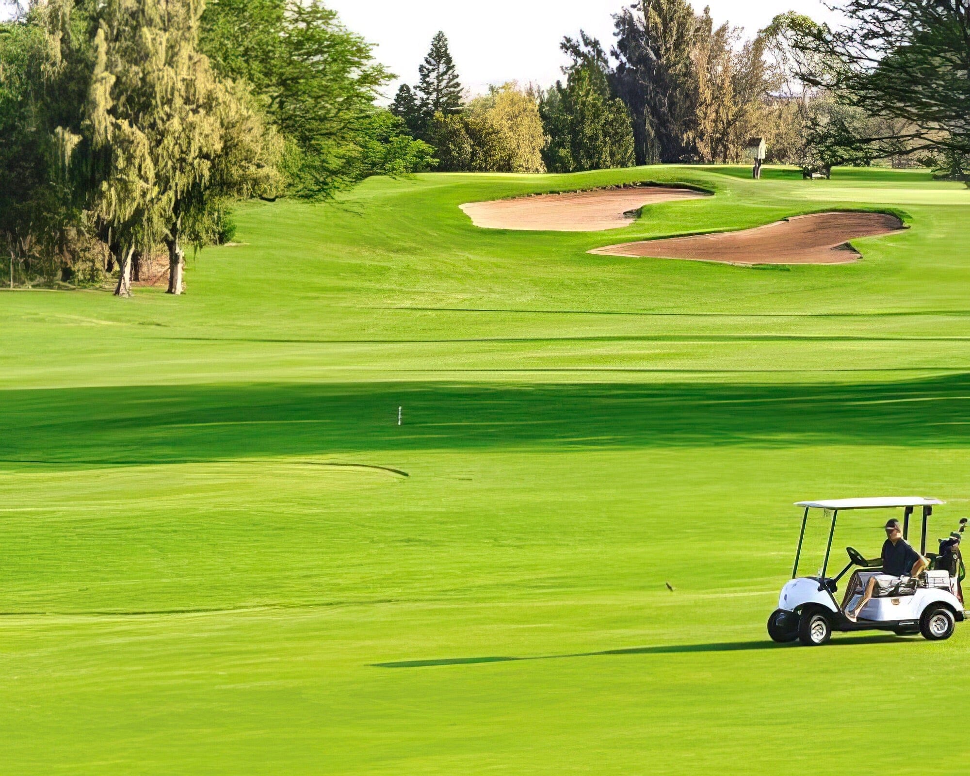 Club Wyndham Paniolo Greens - Image 3