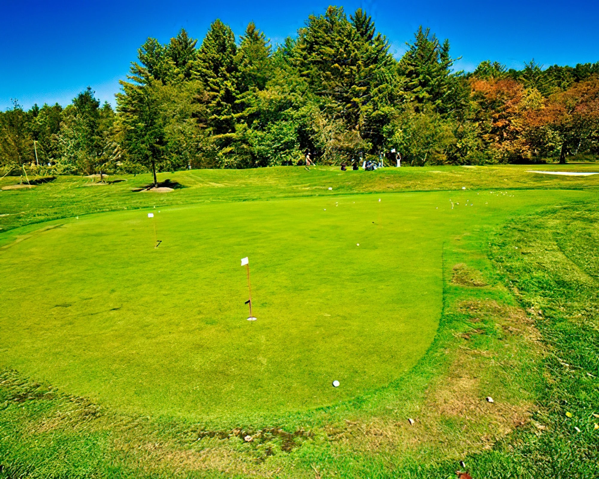 Club Wyndham Resort At Fairfield Sapphire Valley - Image 9