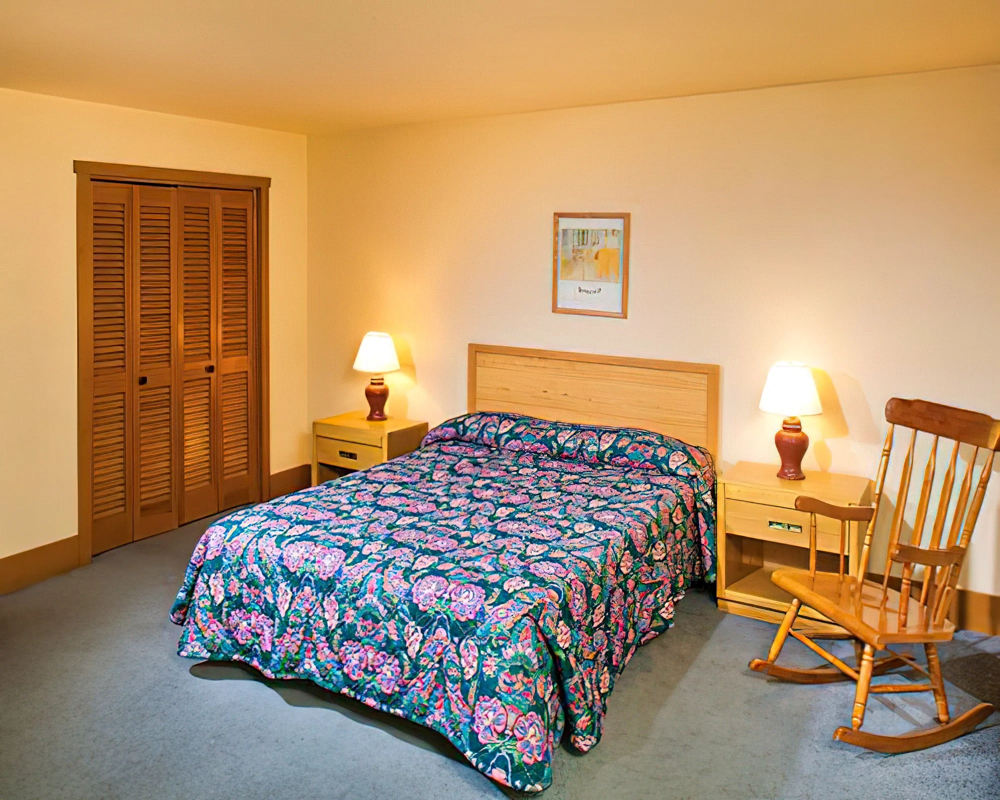 Depuy Shawnee - Image 11