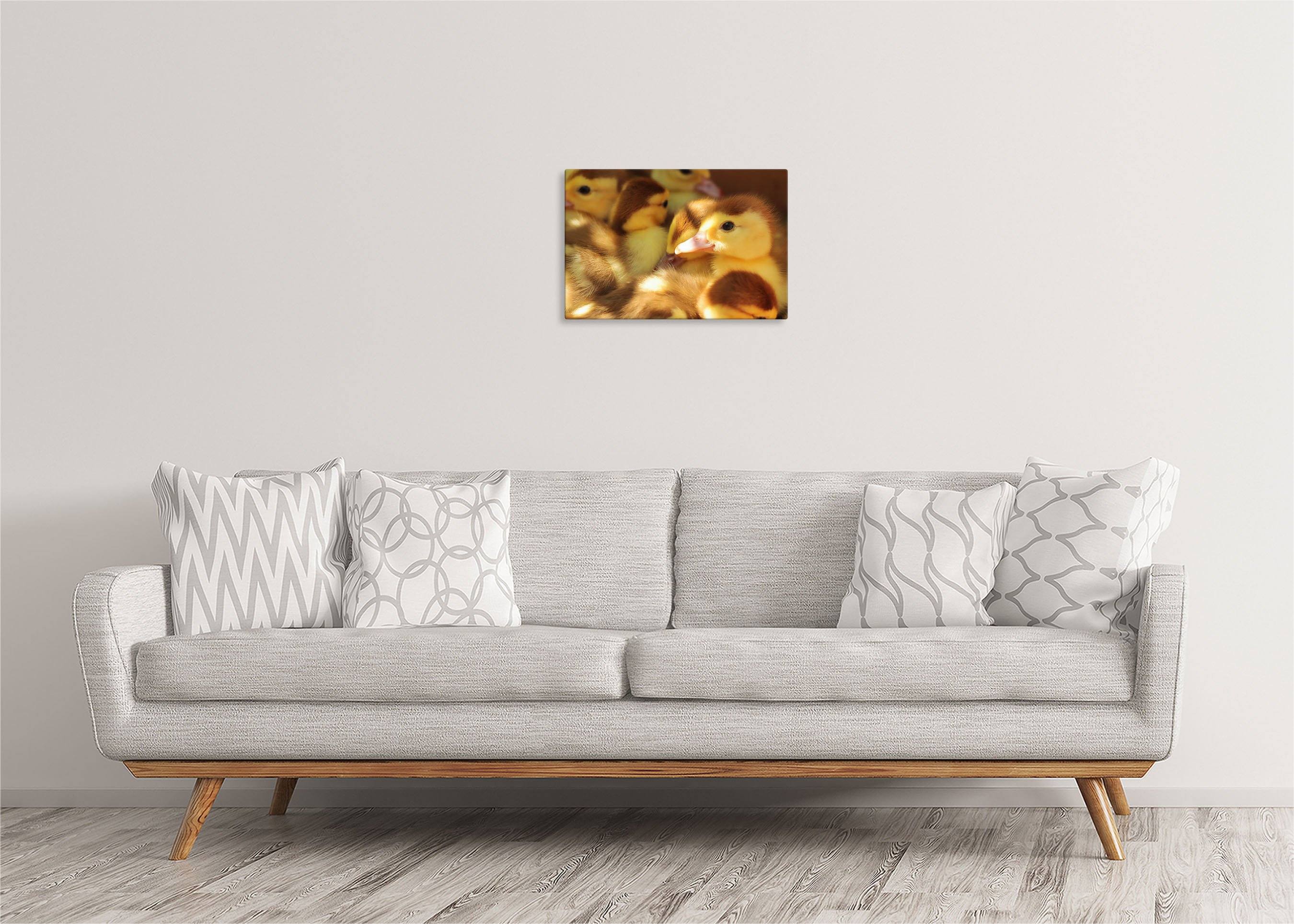 Ducklings | Gallery Wrap Wall Canvas - Image 3