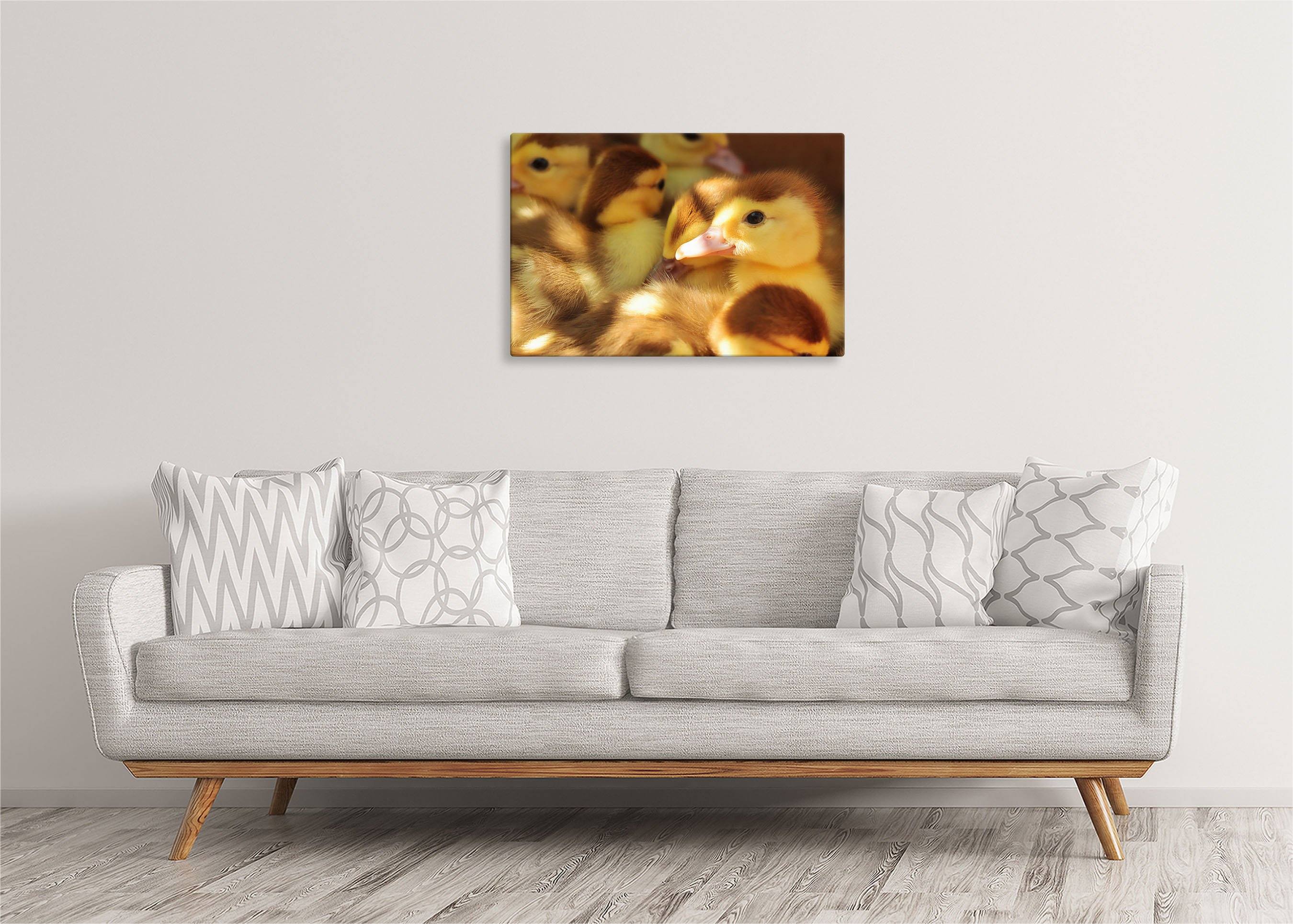 Ducklings | Gallery Wrap Wall Canvas - Image 4
