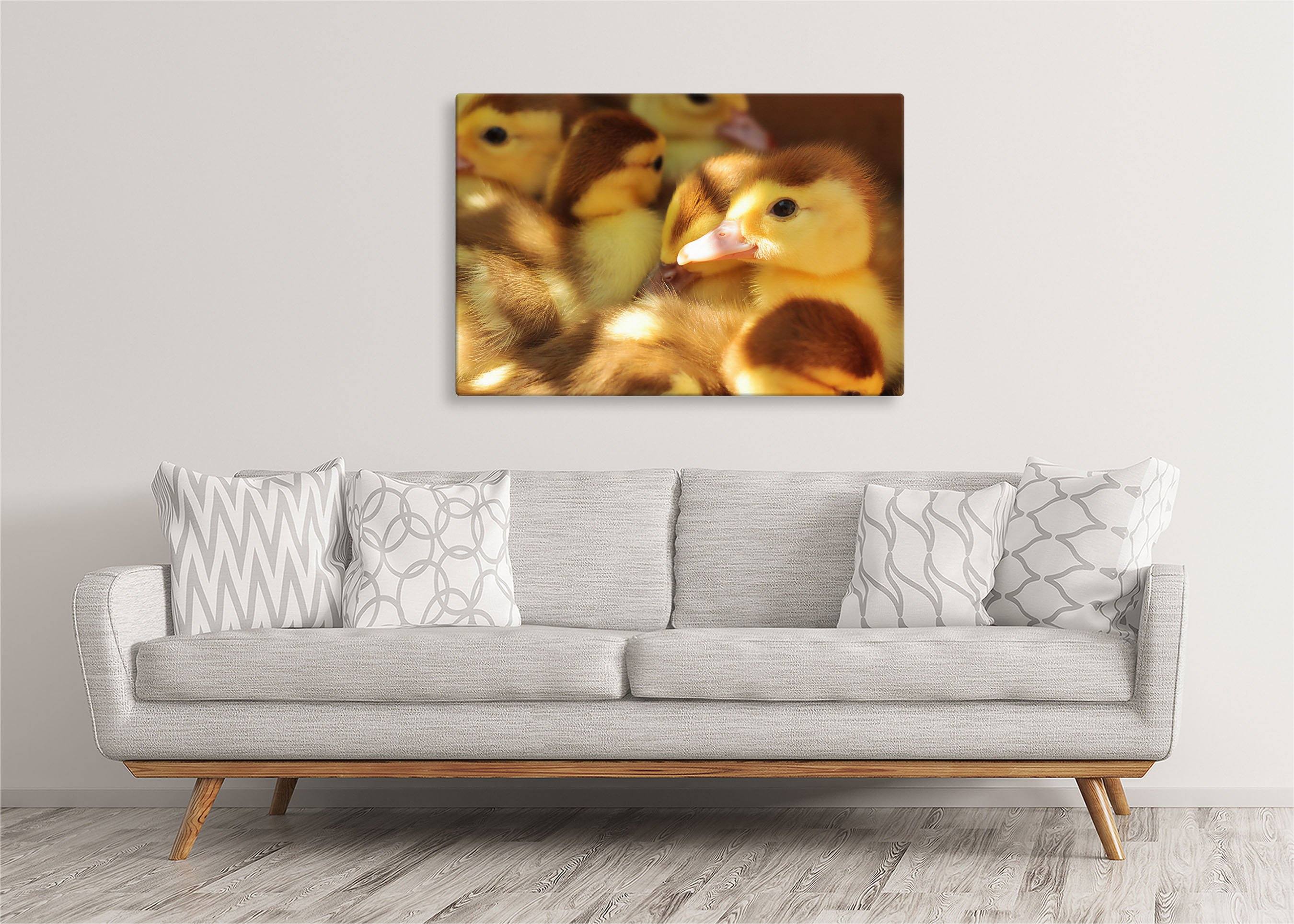 Ducklings | Gallery Wrap Wall Canvas - Image 5