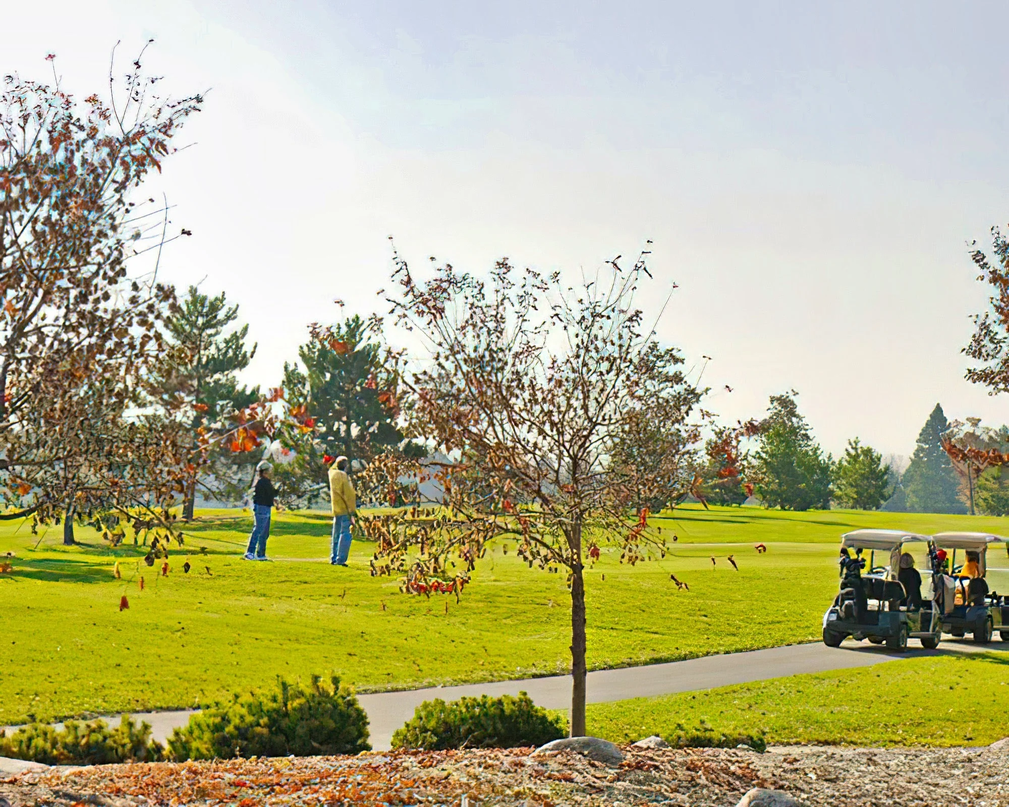 Eagle's Nest at Breezy Point - Image 15