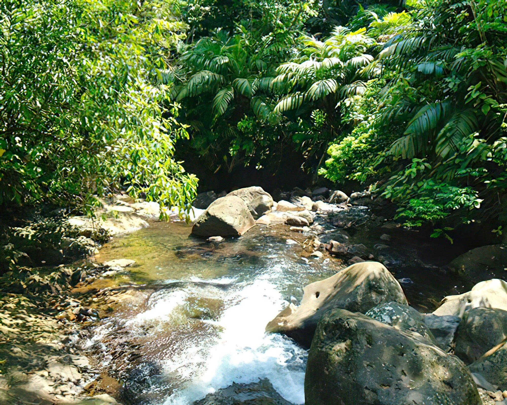 El Tucano Resort and Thermal Spa - Image 8