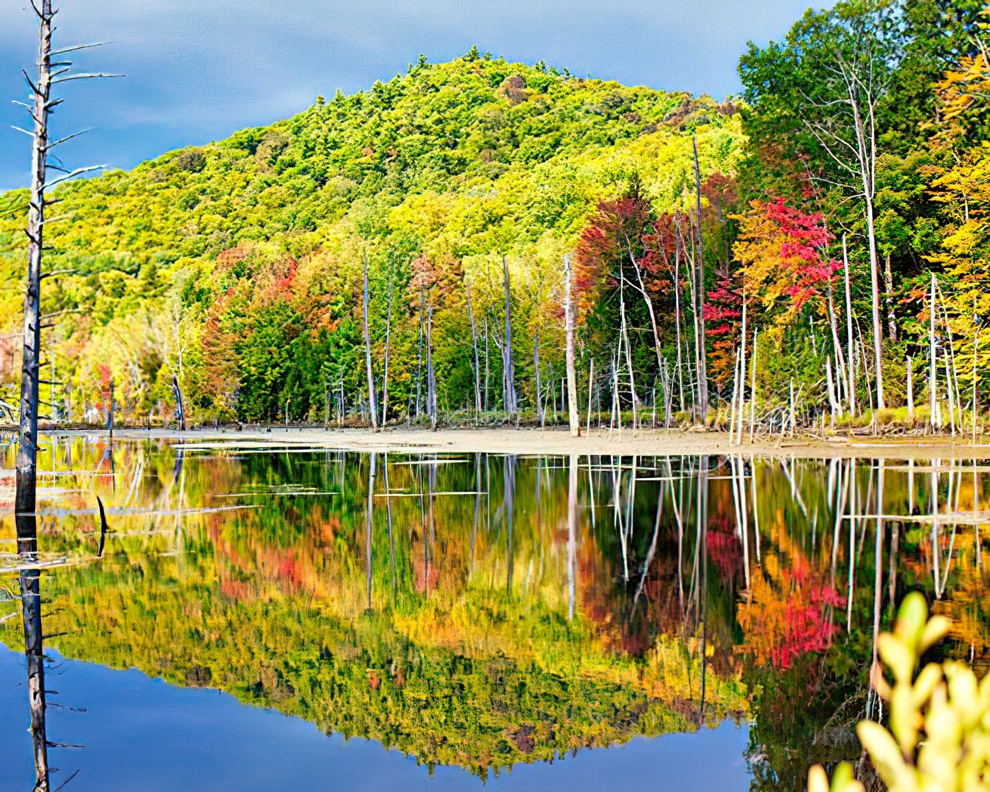 Evergreen Valley Resort and Villas - Image 3