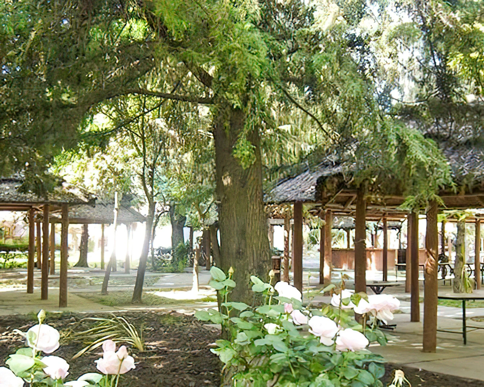 Exclusive Centro Turistico - Image 3