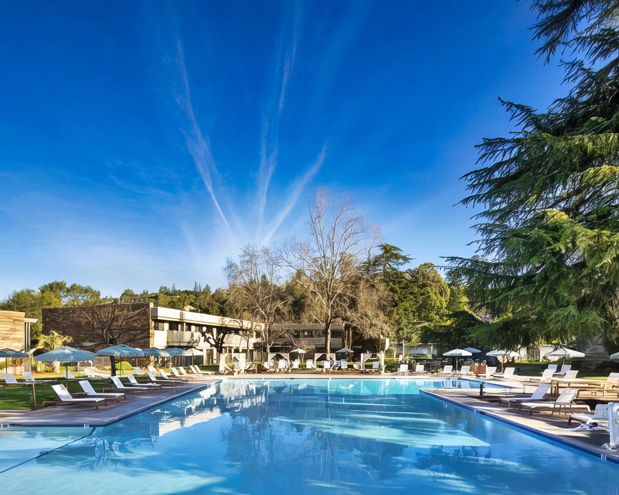 Flamingo Resort & Spa - Image 8