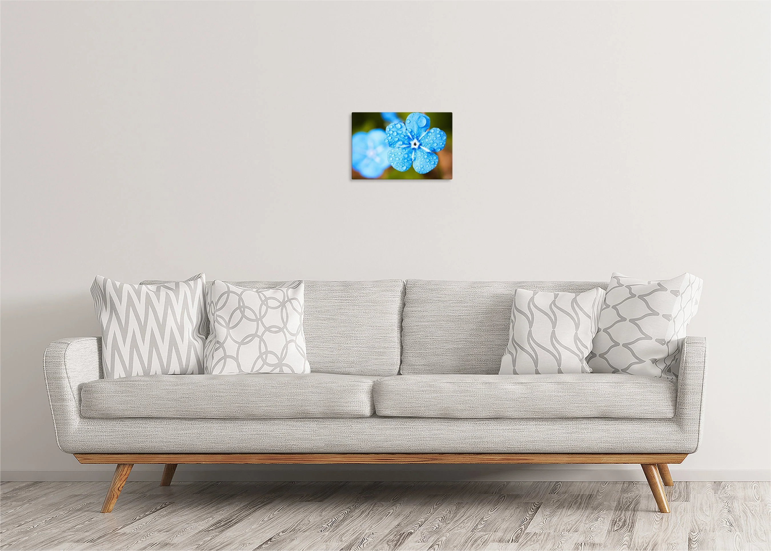 Forget Me Not | Gallery Wrap Wall Canvas - Image 2