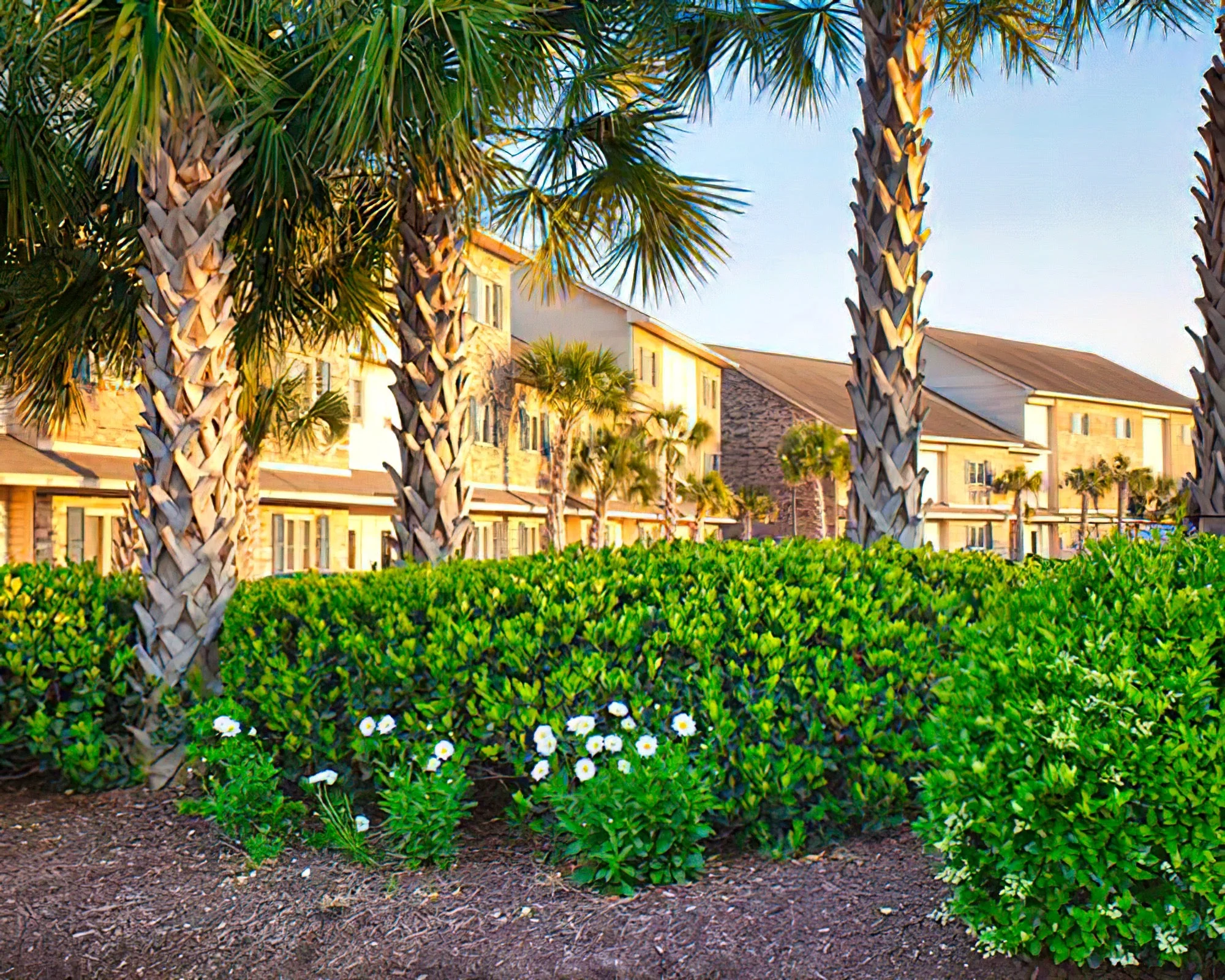 Grand Palms Resort Villas - Image 13
