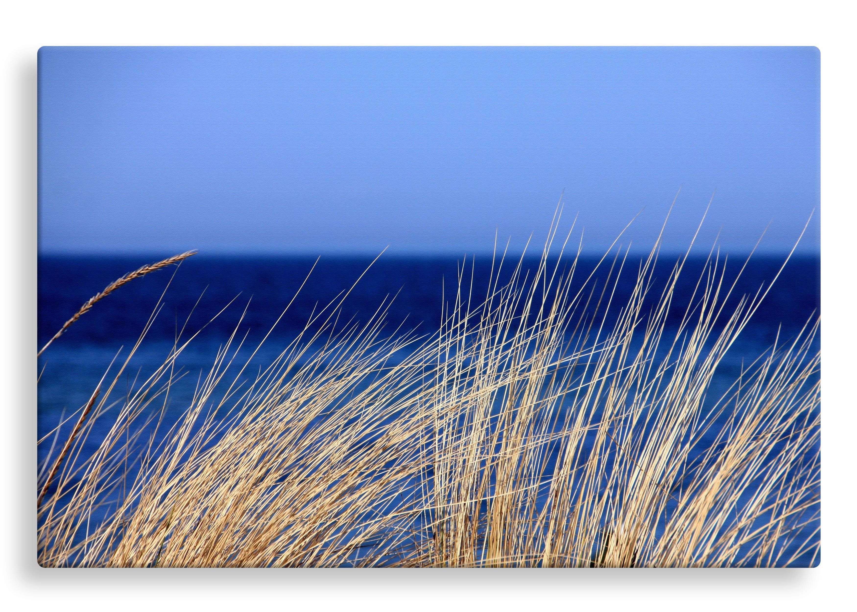 Grass by the Sea | Gallery Wrap Wall Canvas