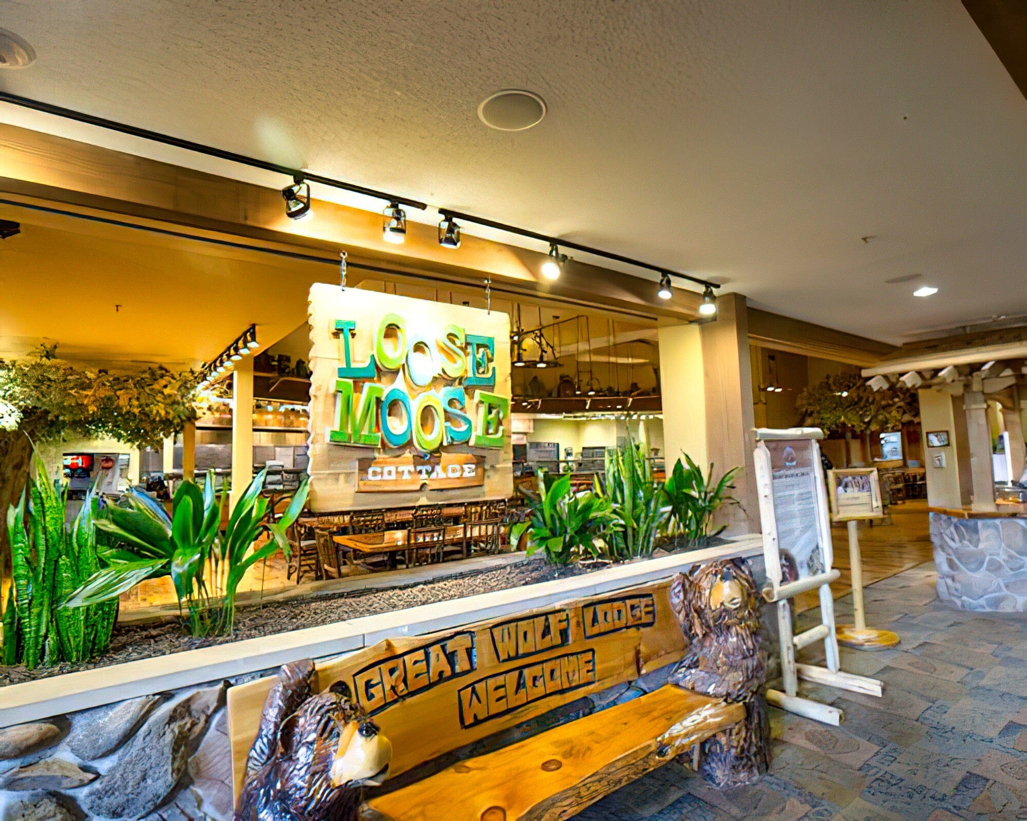 Great Wolf Lodge Mason - Image 4