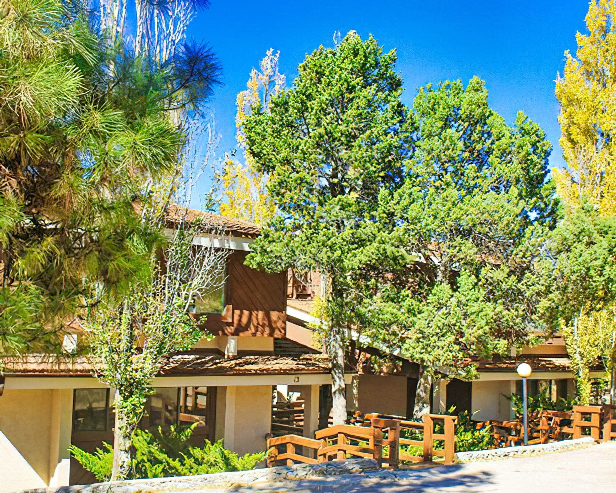 High Sierra - Image 2