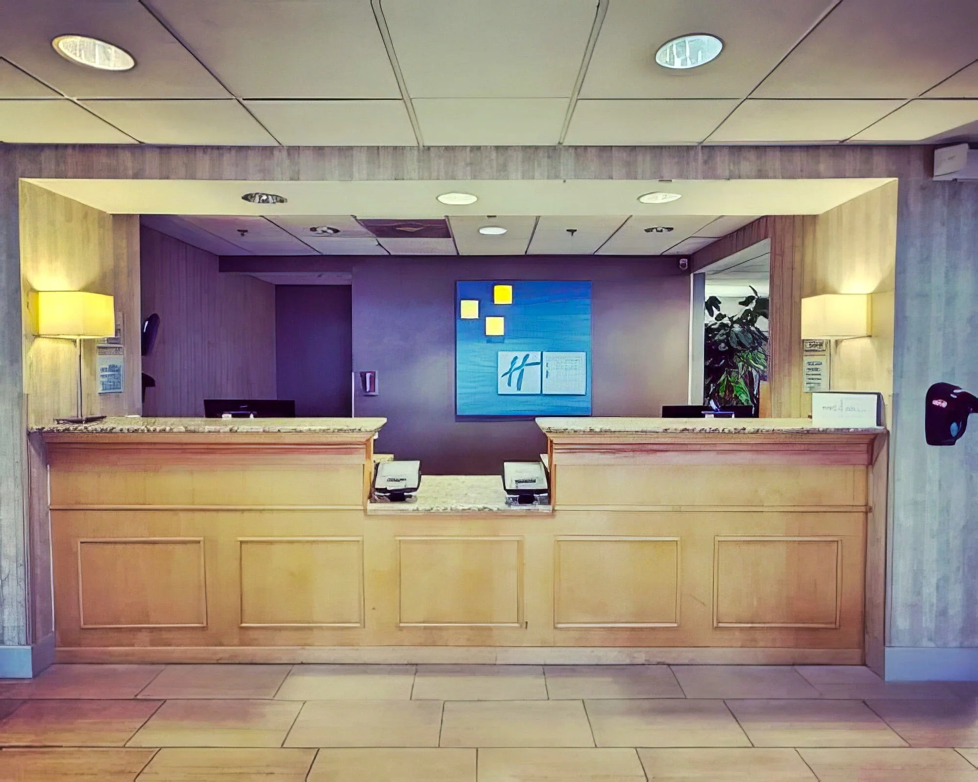 Holiday Inn Express Hotel & Suites - North - Image 3