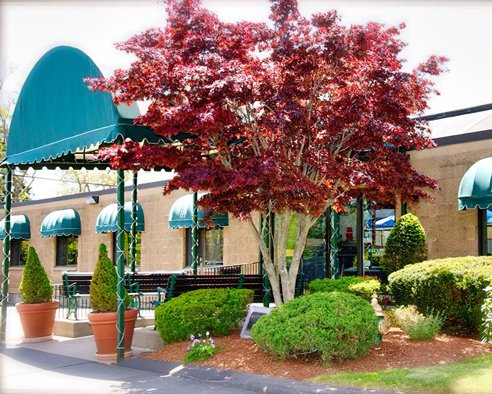 Holly Tree Resort - Image 13