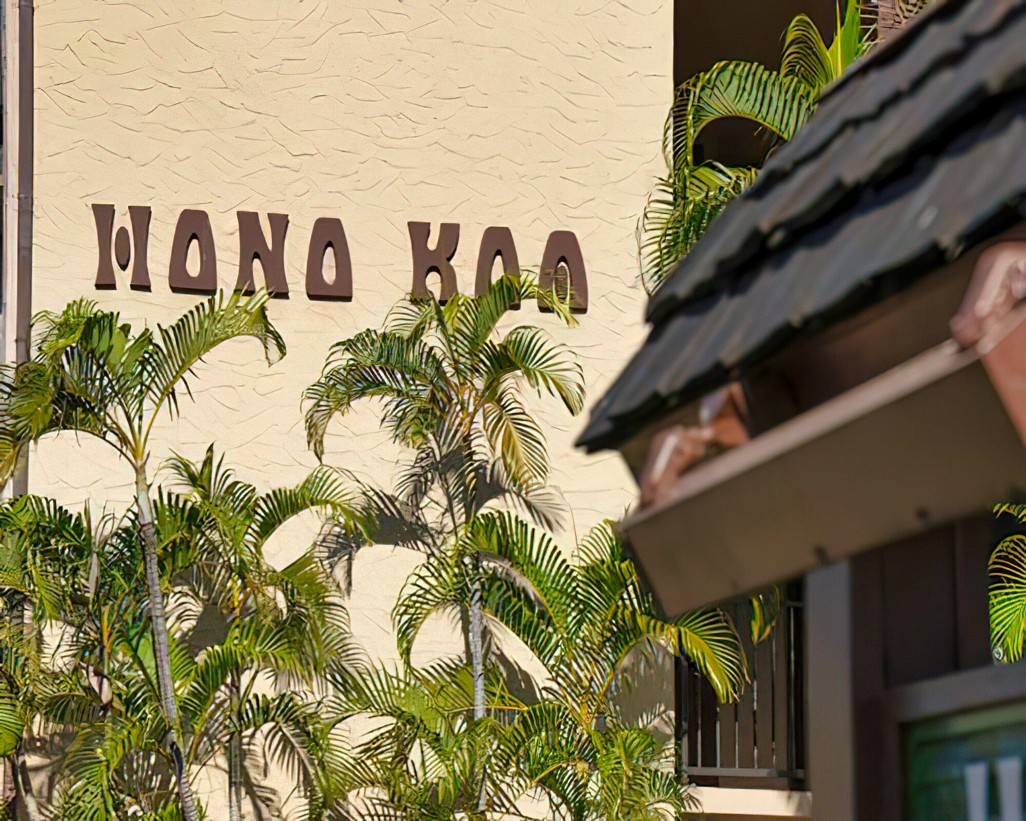 Hono Koa - Image 13