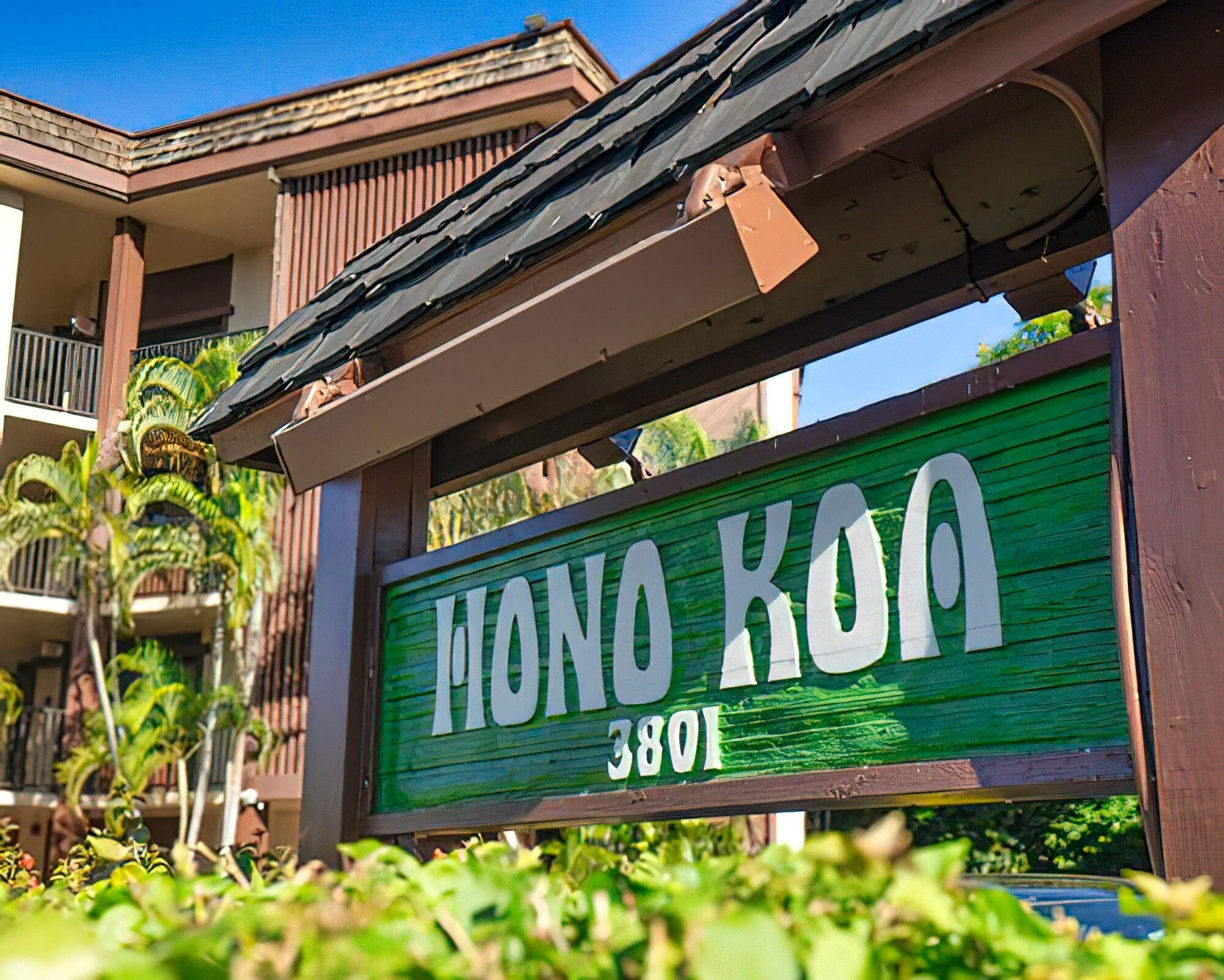 Hono Koa - Image 6