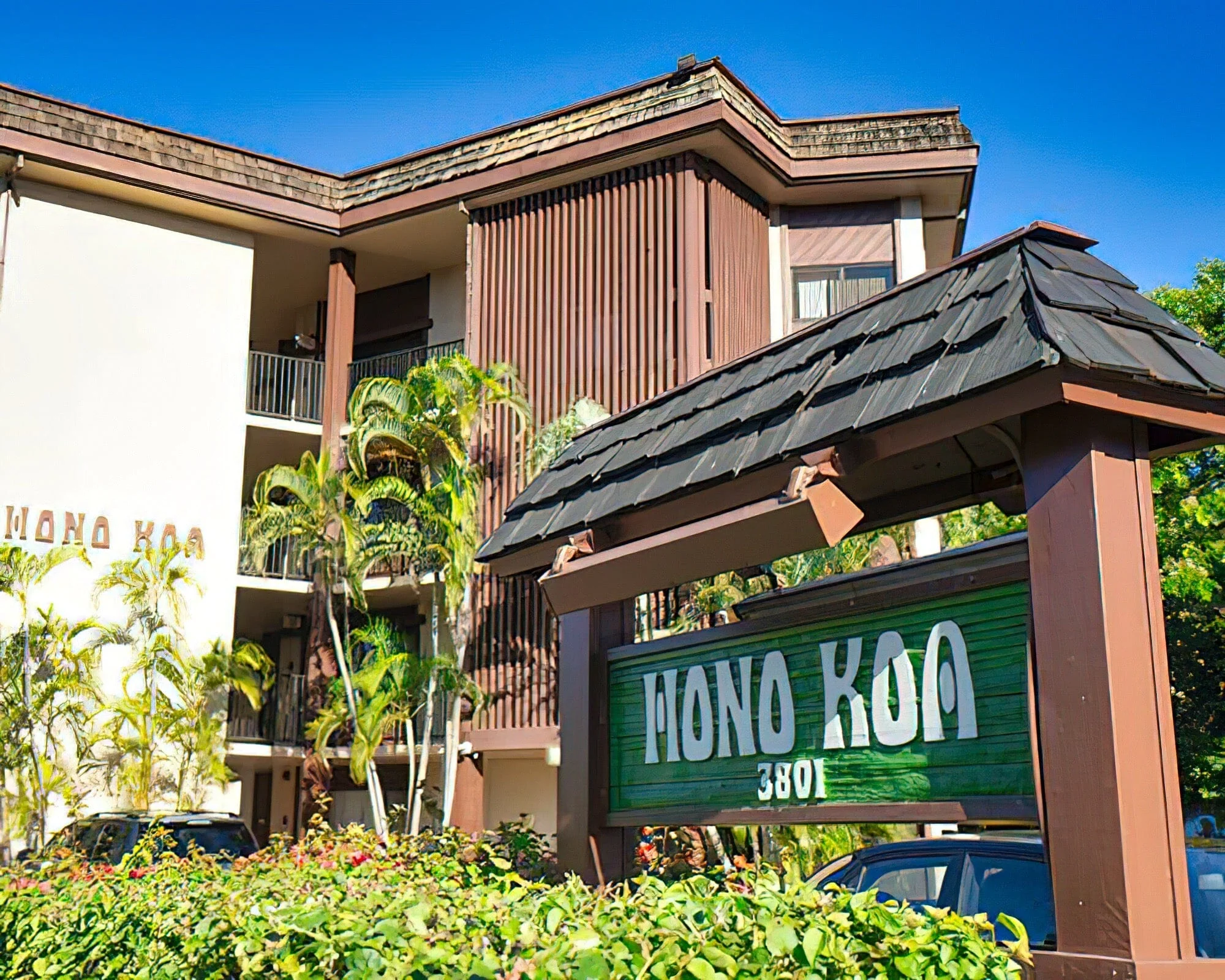Hono Koa - Image 8