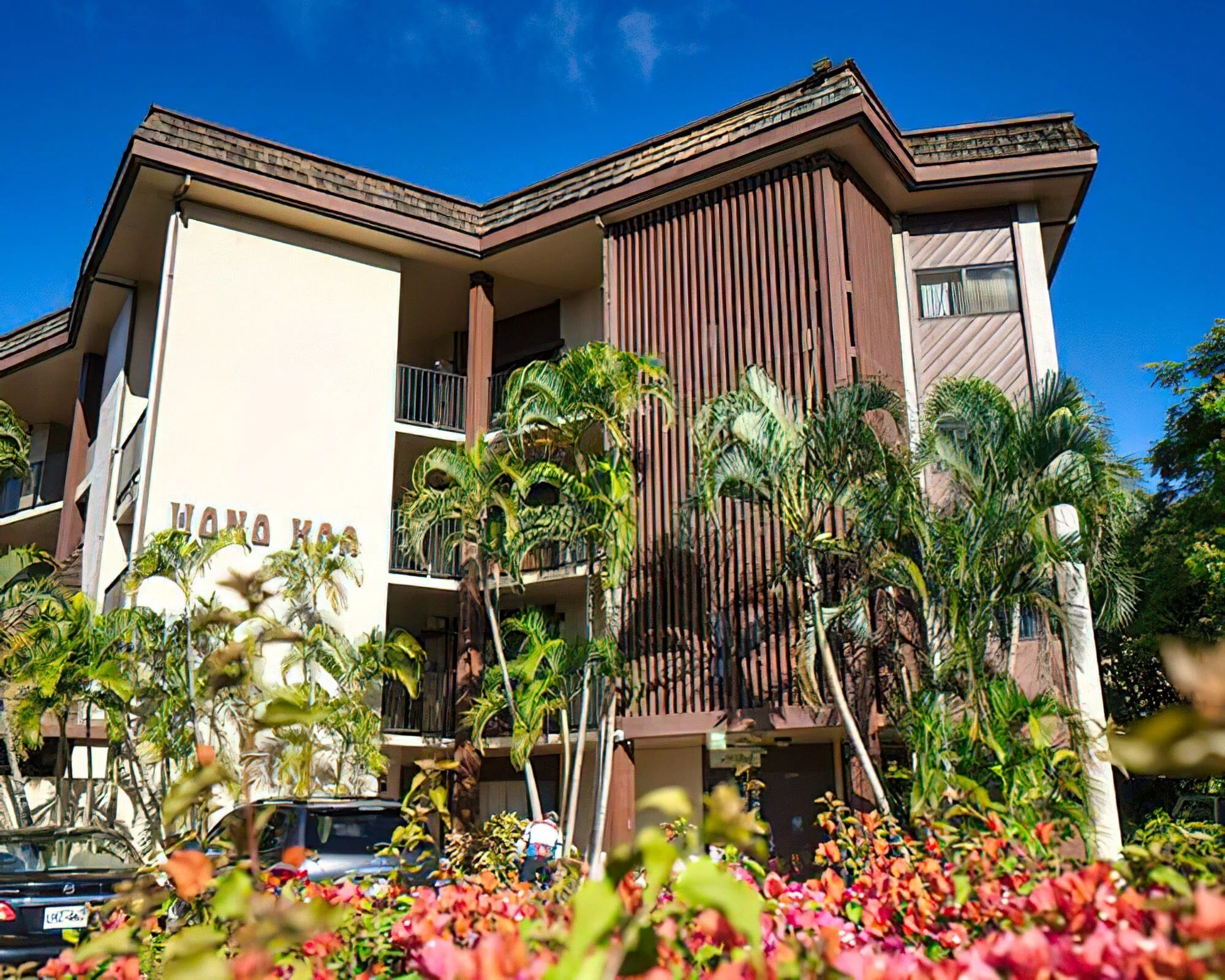 Hono Koa - Image 9