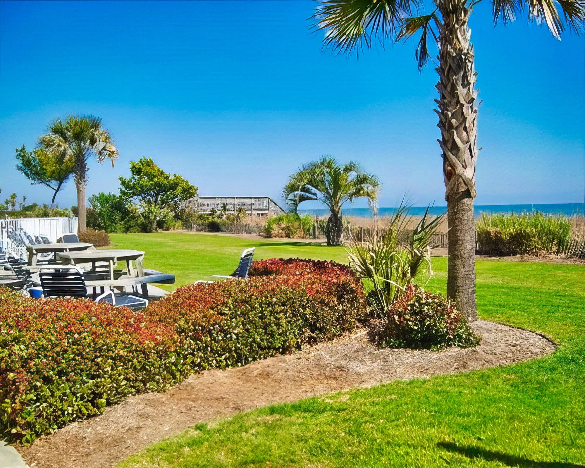 Jade Tree Cove - Image 21
