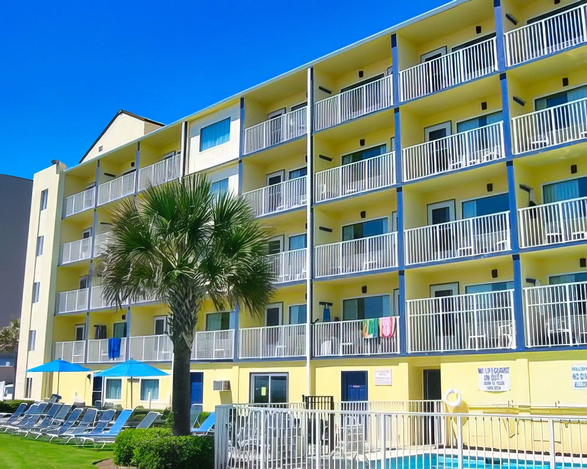 Jade Tree Cove - Image 6